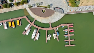 Aerial view of a marina surrounded by lush green parkland.