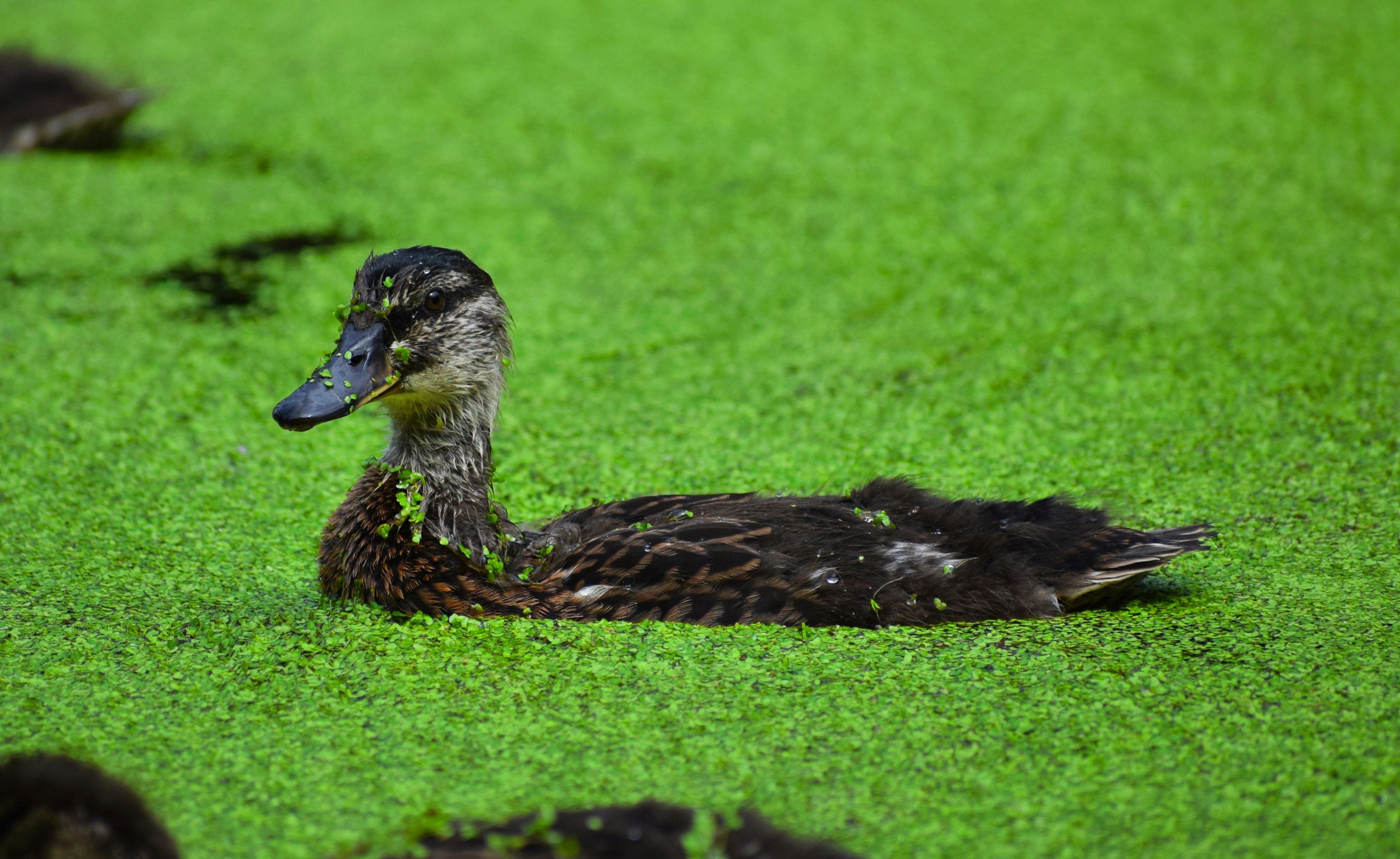 Photo by amandaswanepoel