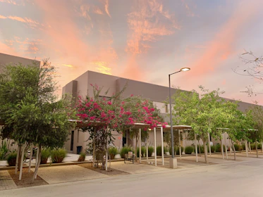 Sunset view of a peaceful residential street in Vivejo Tangará with trees and sidewalks.