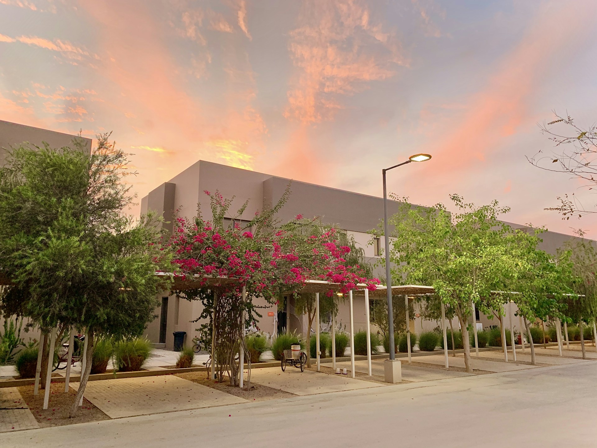 woman wearing yellow long-sleeved dress under white clouds and blue sky during daytime