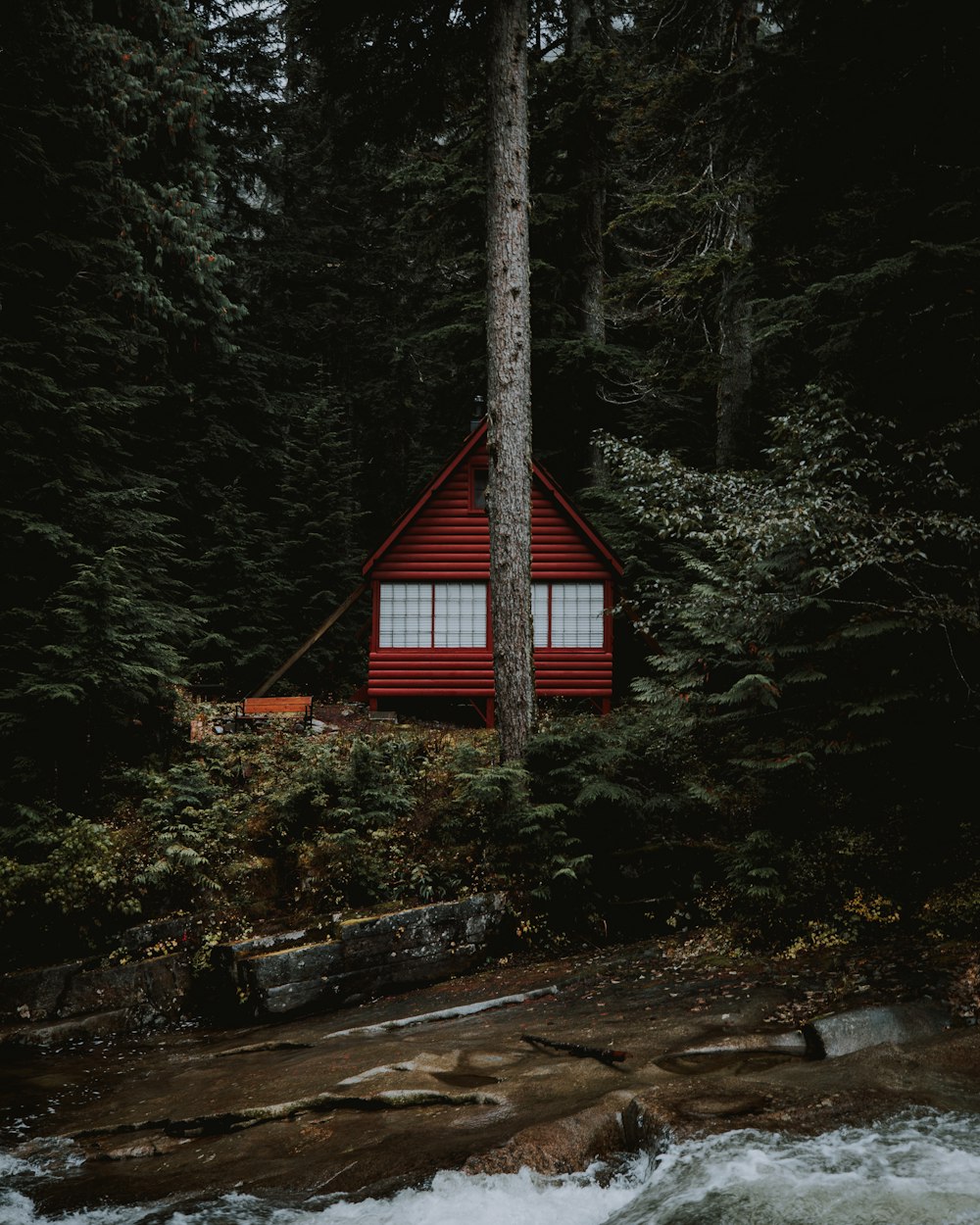 나무 근처의 빨간 목조 주택