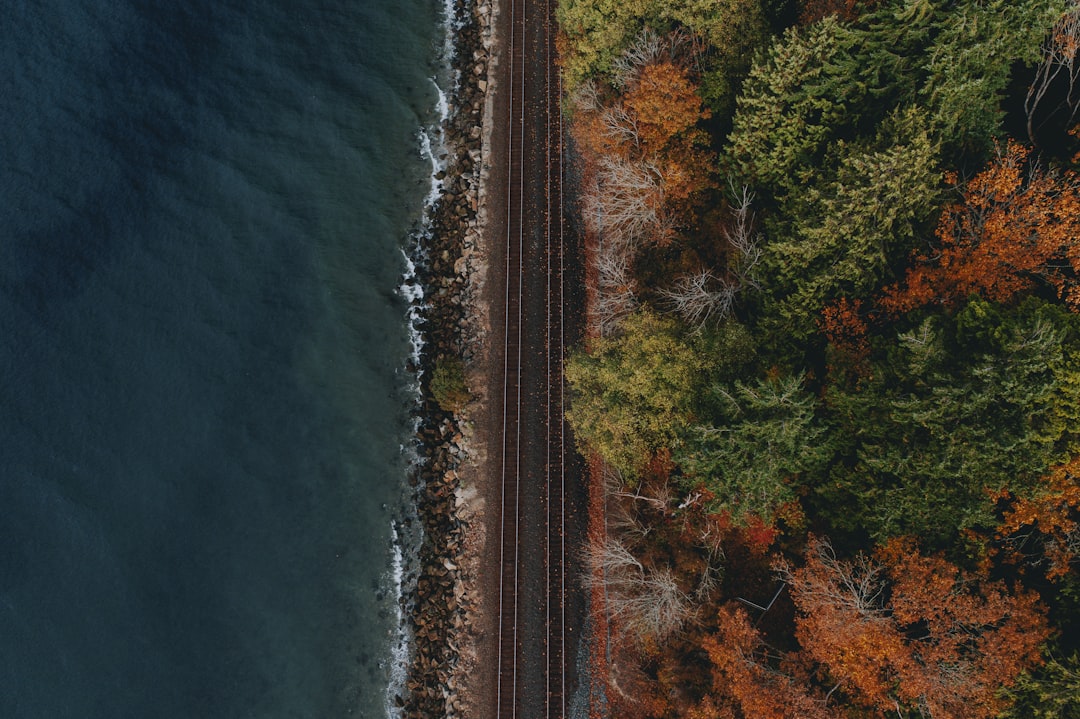 high angle photography of train rails in middle of body of water and tree field during daytime