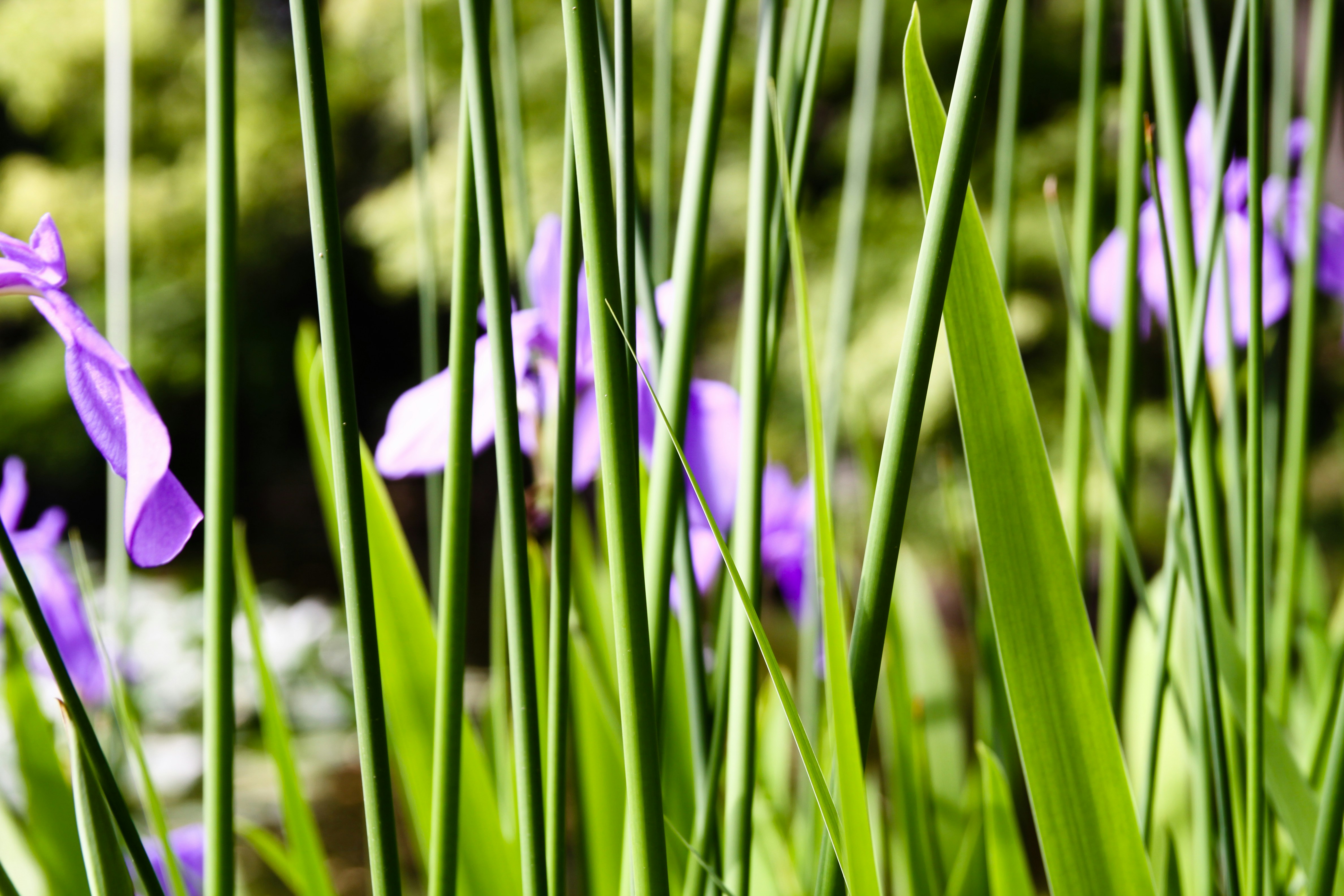 Photo by sense_photo