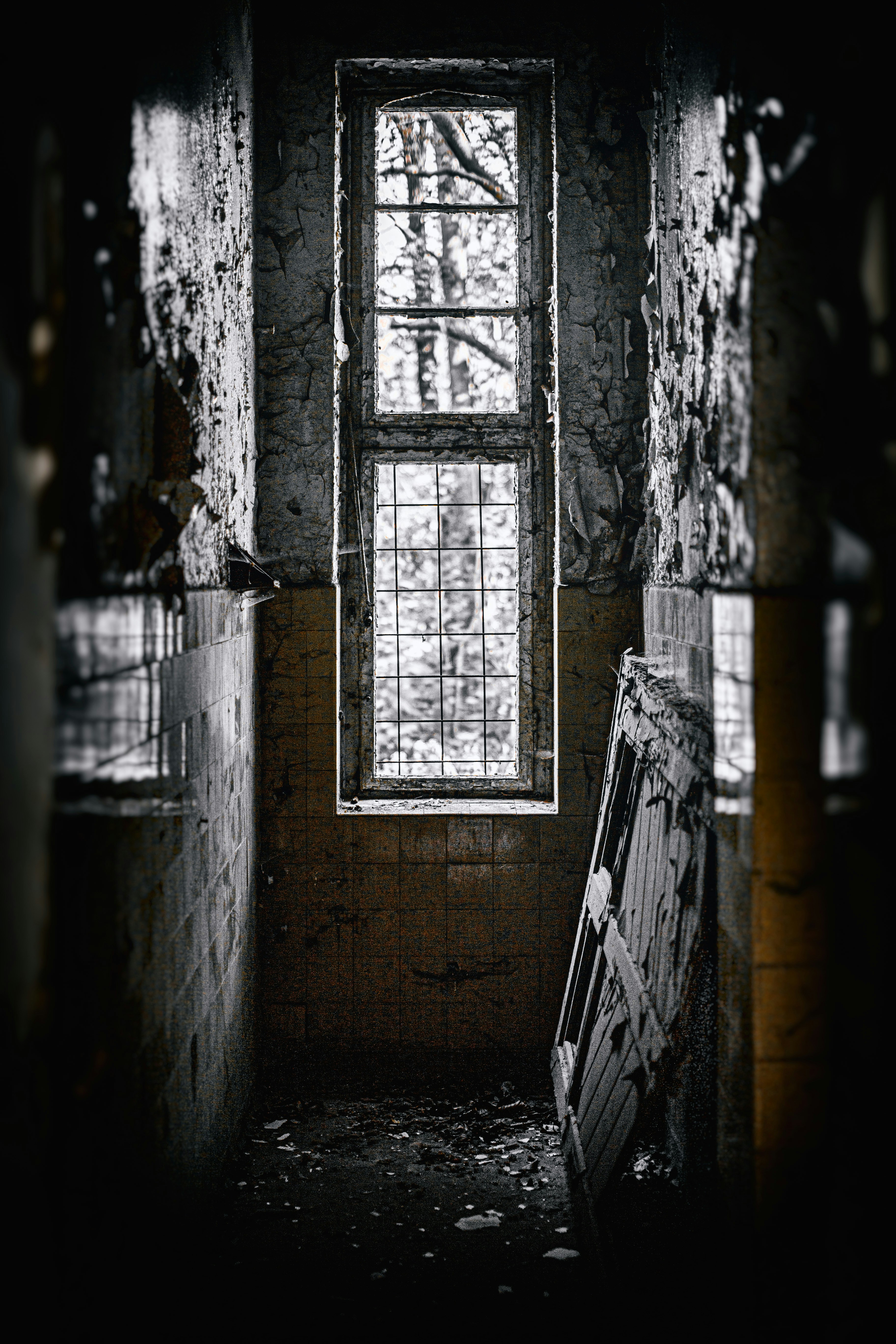 Photo by redaquamedia