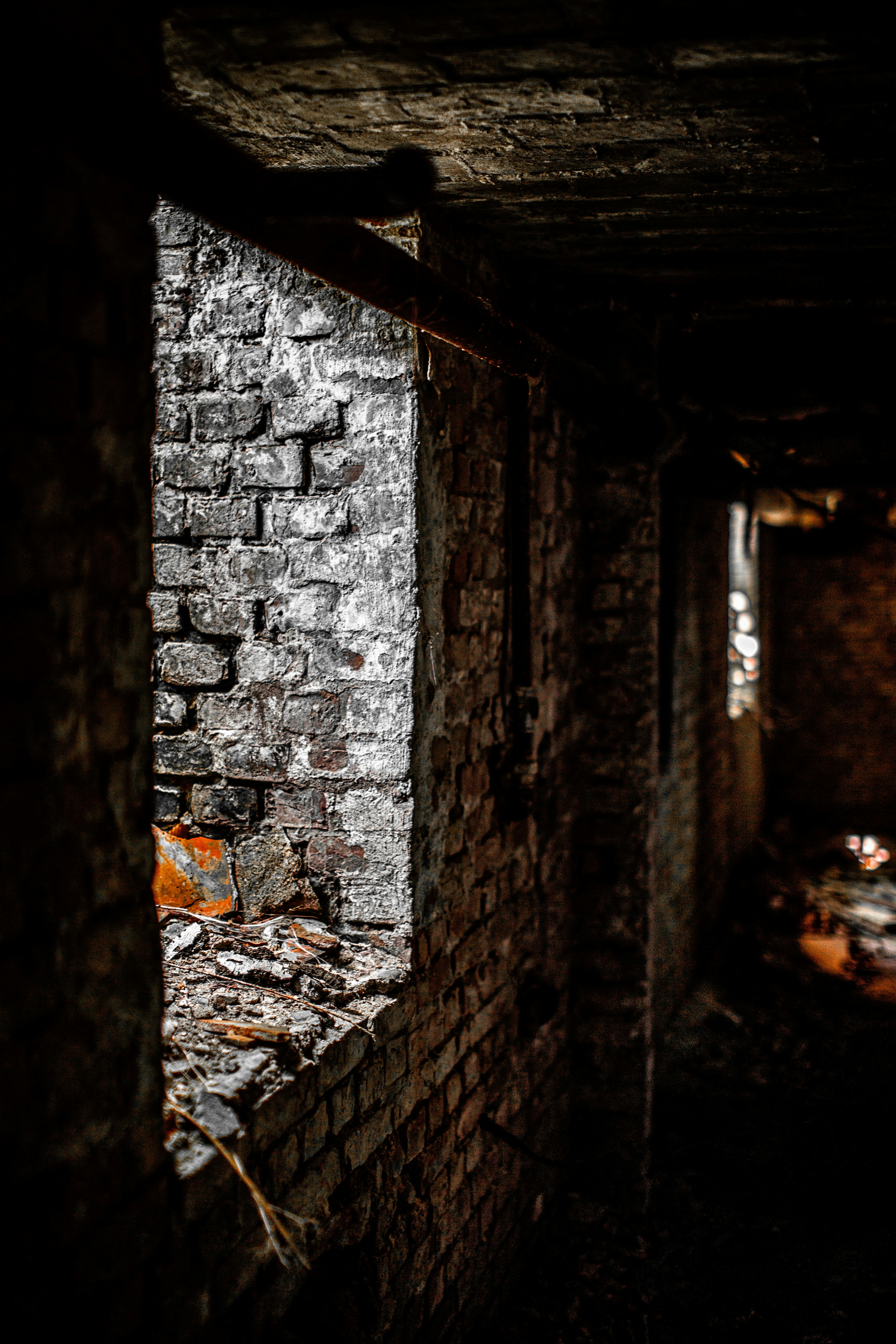 Photo by redaquamedia