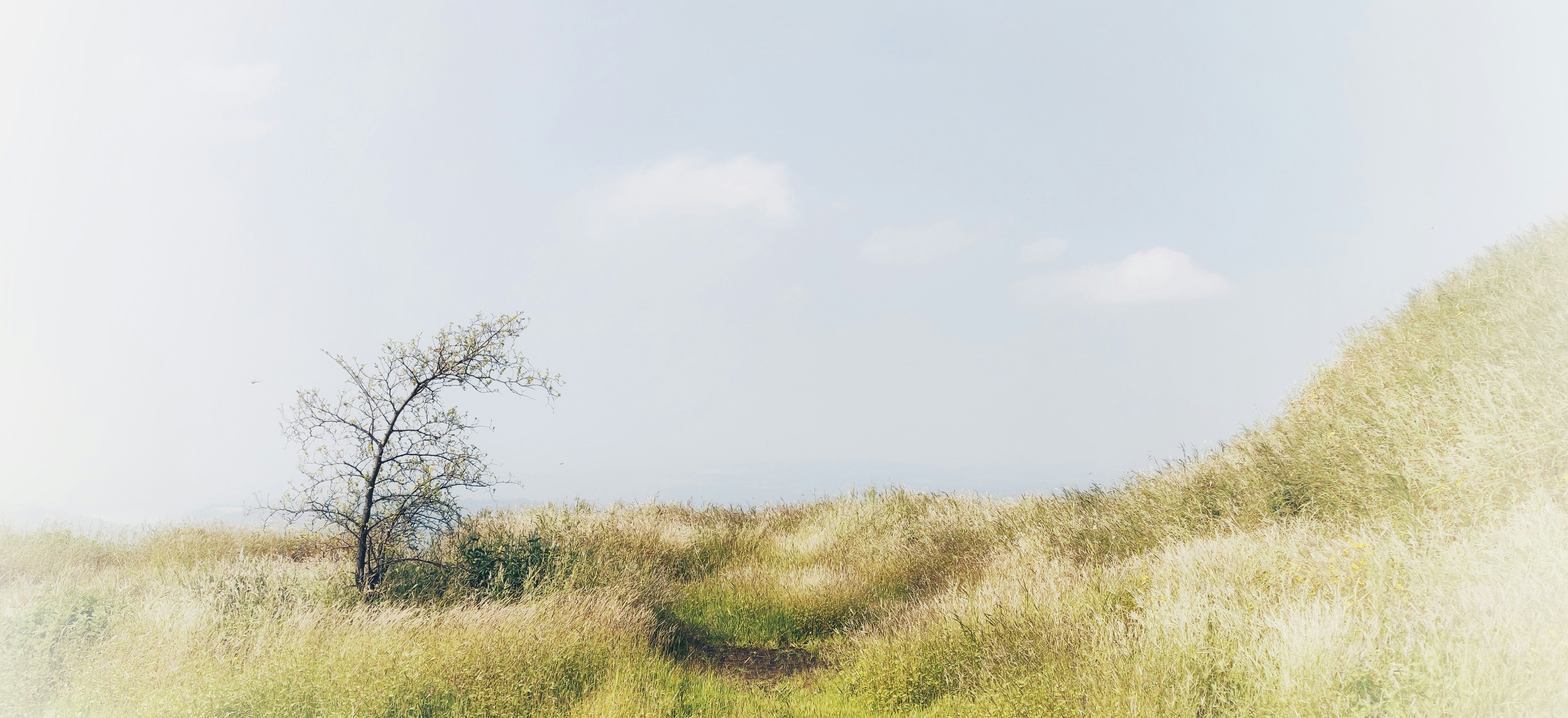 Photo by dhruvsaranmehra