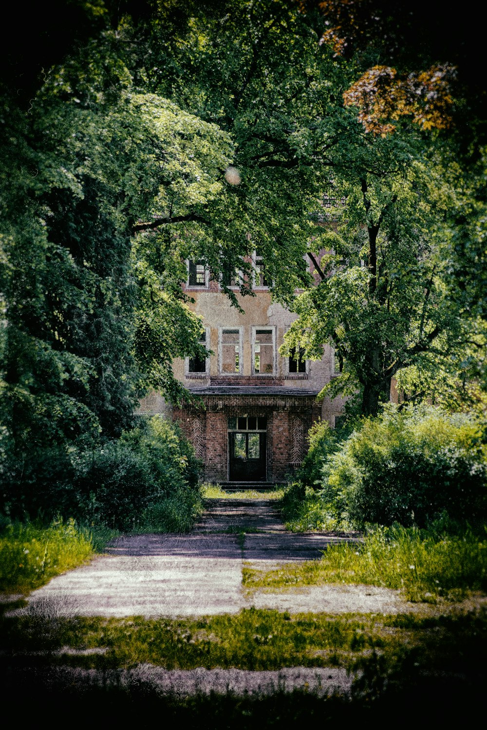 house among trees