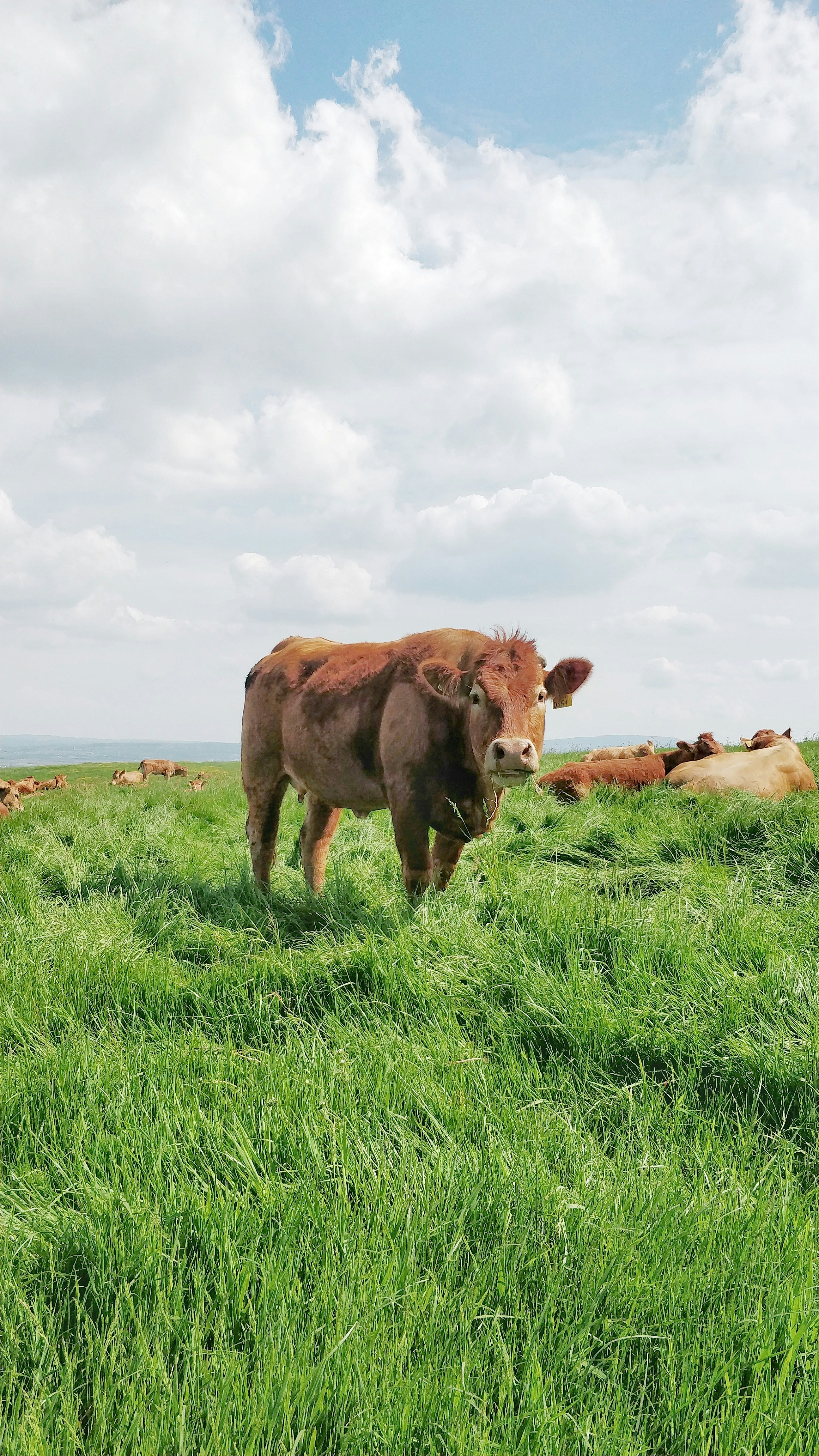 Photo by dhruvsaranmehra