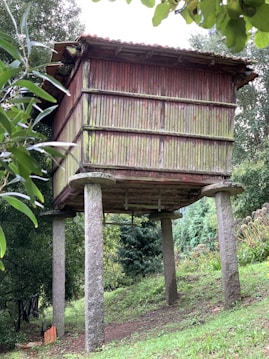 A traditional wooden granary elevated on stone pillars situated in a lush garden setting. The granary has a weathered appearance, composed of vertical wooden slats with a red tint on the aged wood. Surrounding the structure are green trees and foliage, indicating a rural or countryside location.