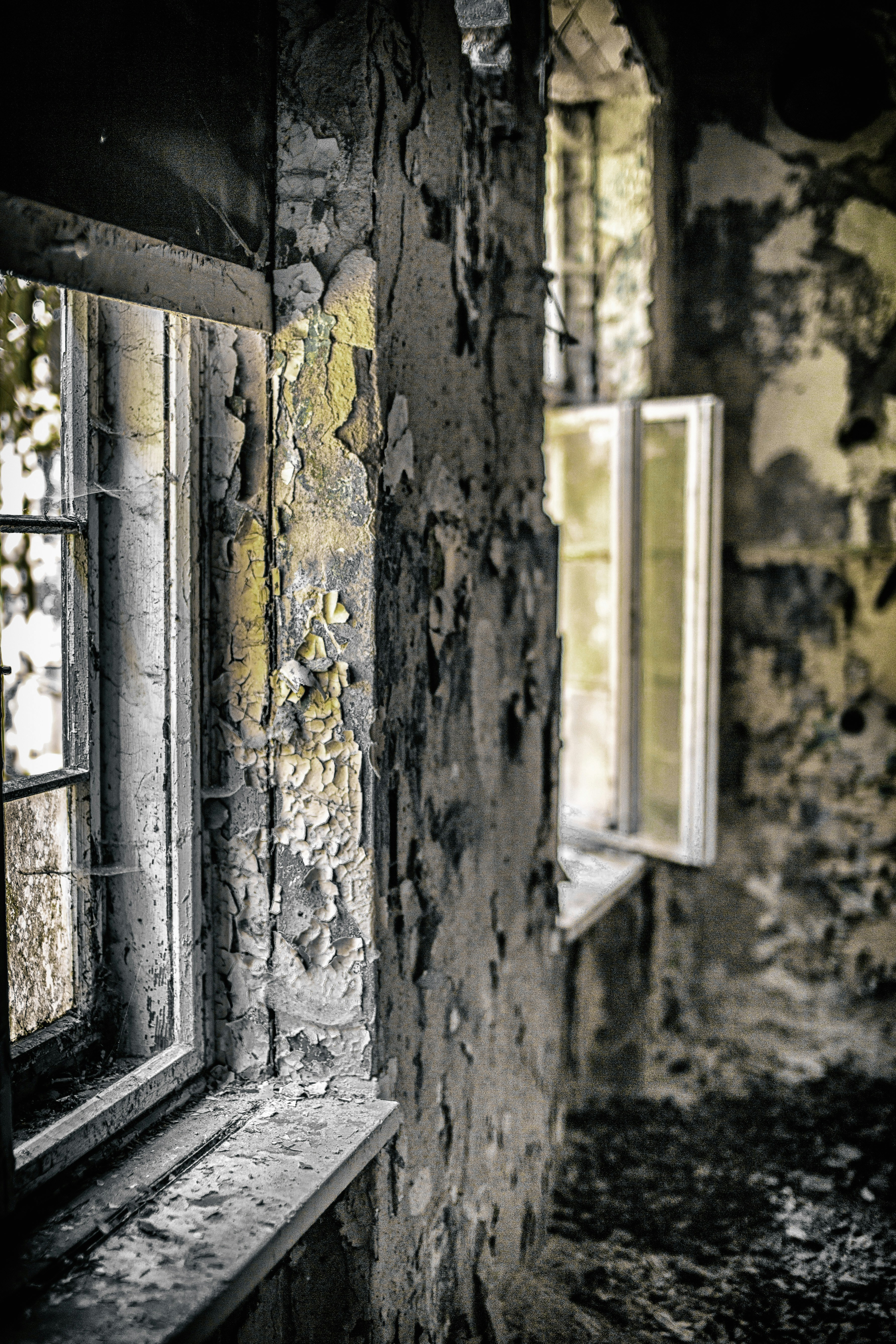 Photo by redaquamedia