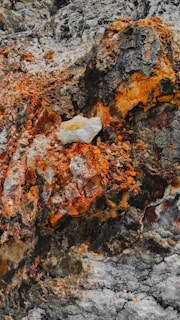 A rugged rock surface with various textures and colors. Reddish-orange and black hues dominate the rough terrain, with a lighter, grayish-white section in the middle. The surface is uneven, with cracks and crevices throughout.