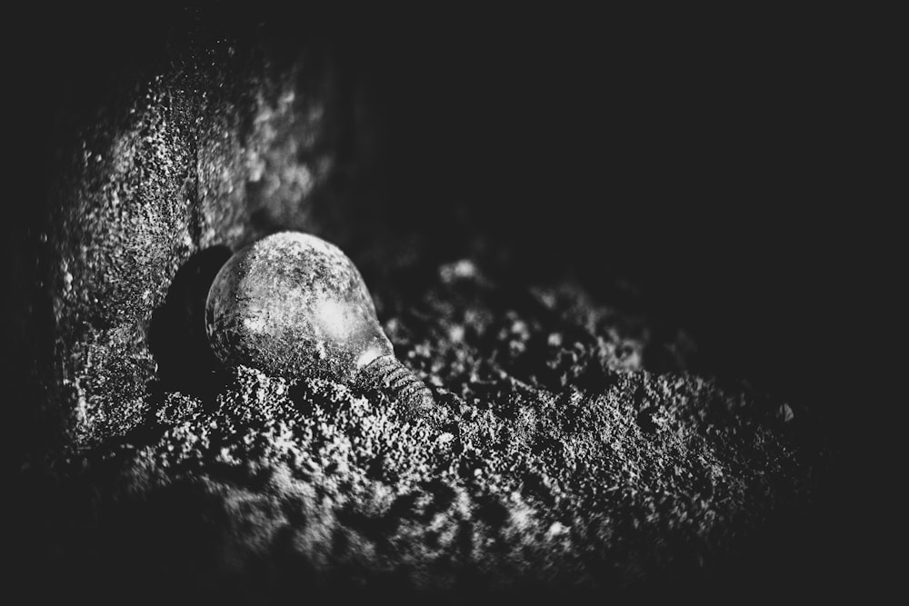 Fragmento de piedra en blanco y negro