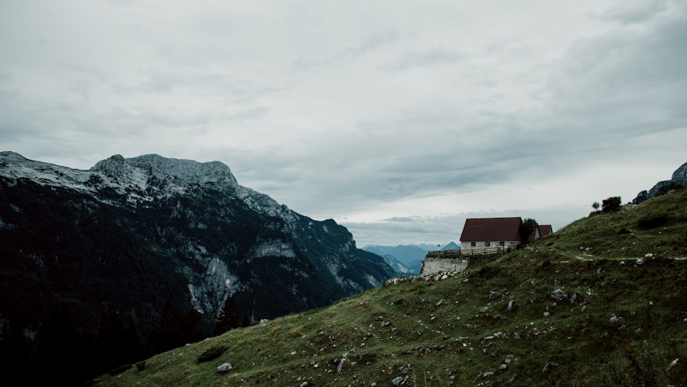 white and brown house