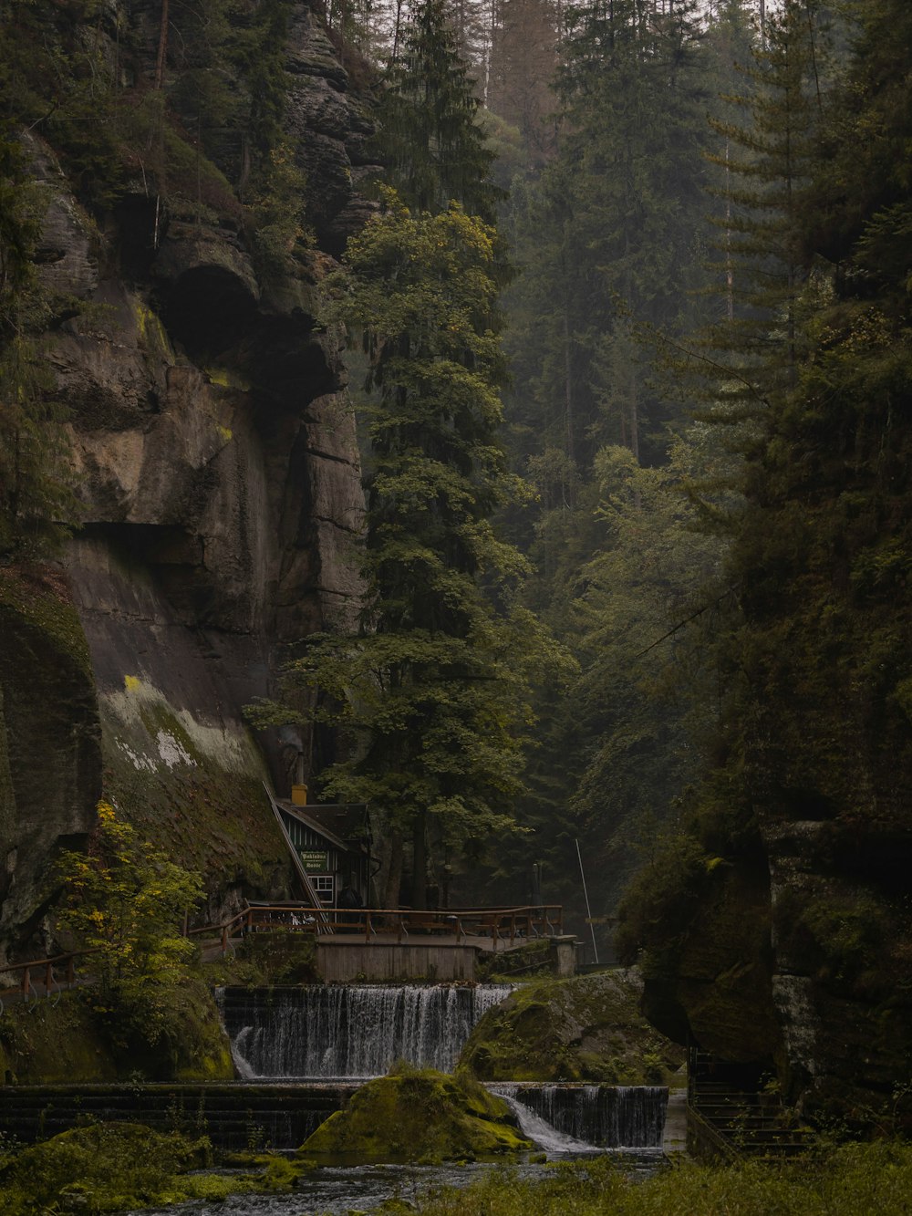 waterfalls under green leaf trees