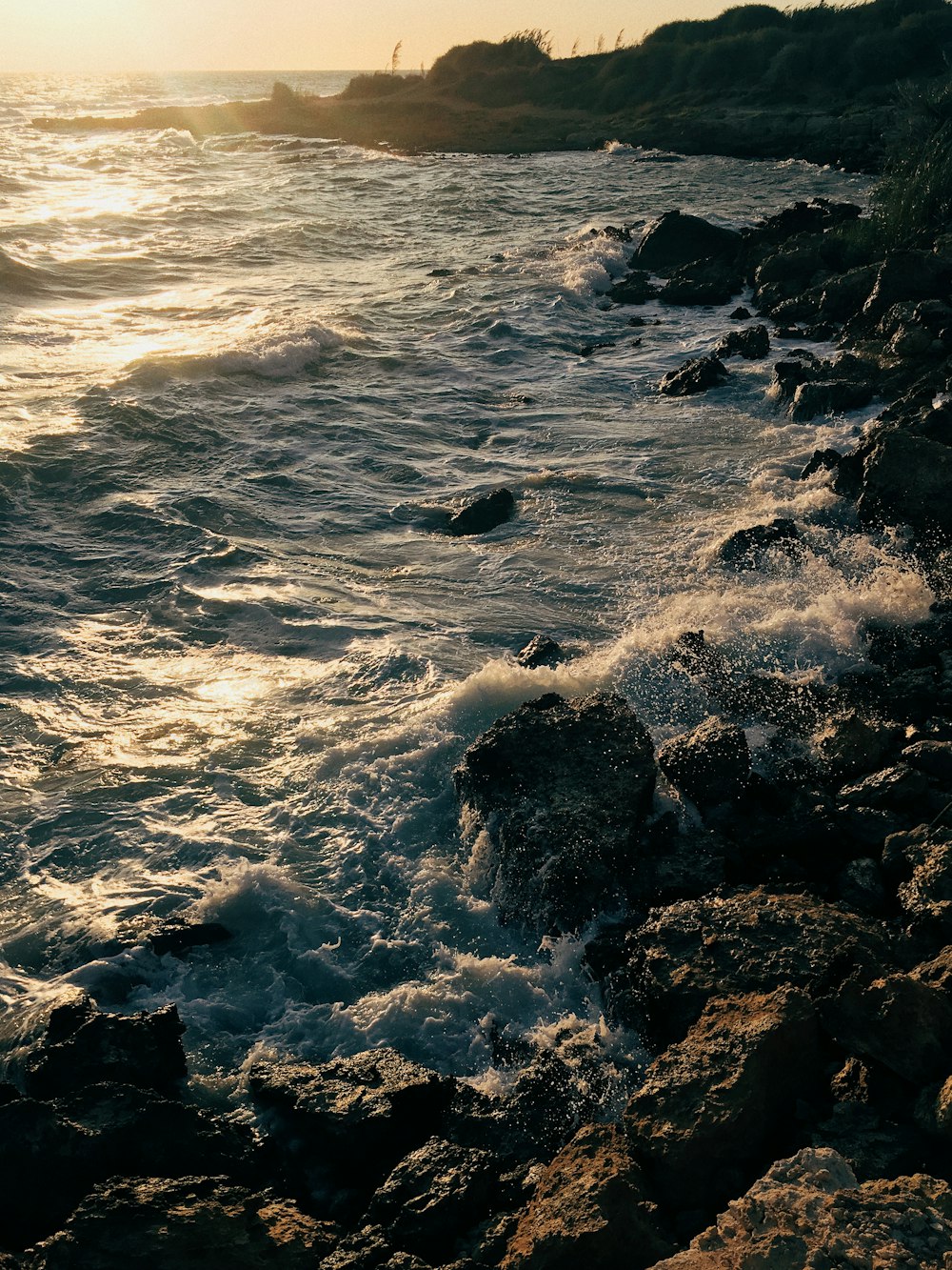 seashore during sunset