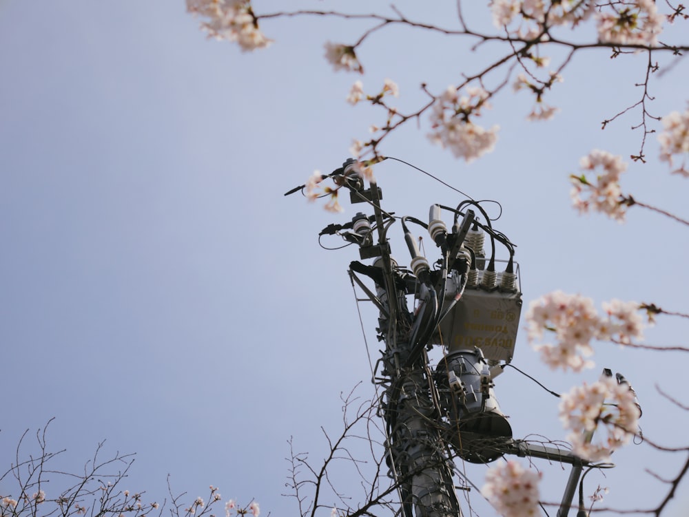 a telephone pole with a bunch of wires attached to it