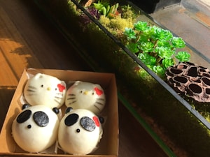 Paket Pangan Dari Tanah