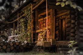 A rustic wooden cabin surrounded by lush greenery. The exterior is made of logs, with a pile of firewood neatly stacked beside it. Sunlight softly illuminates the scene, highlighting the natural textures of the wood and the leaves climbing up one of the walls.