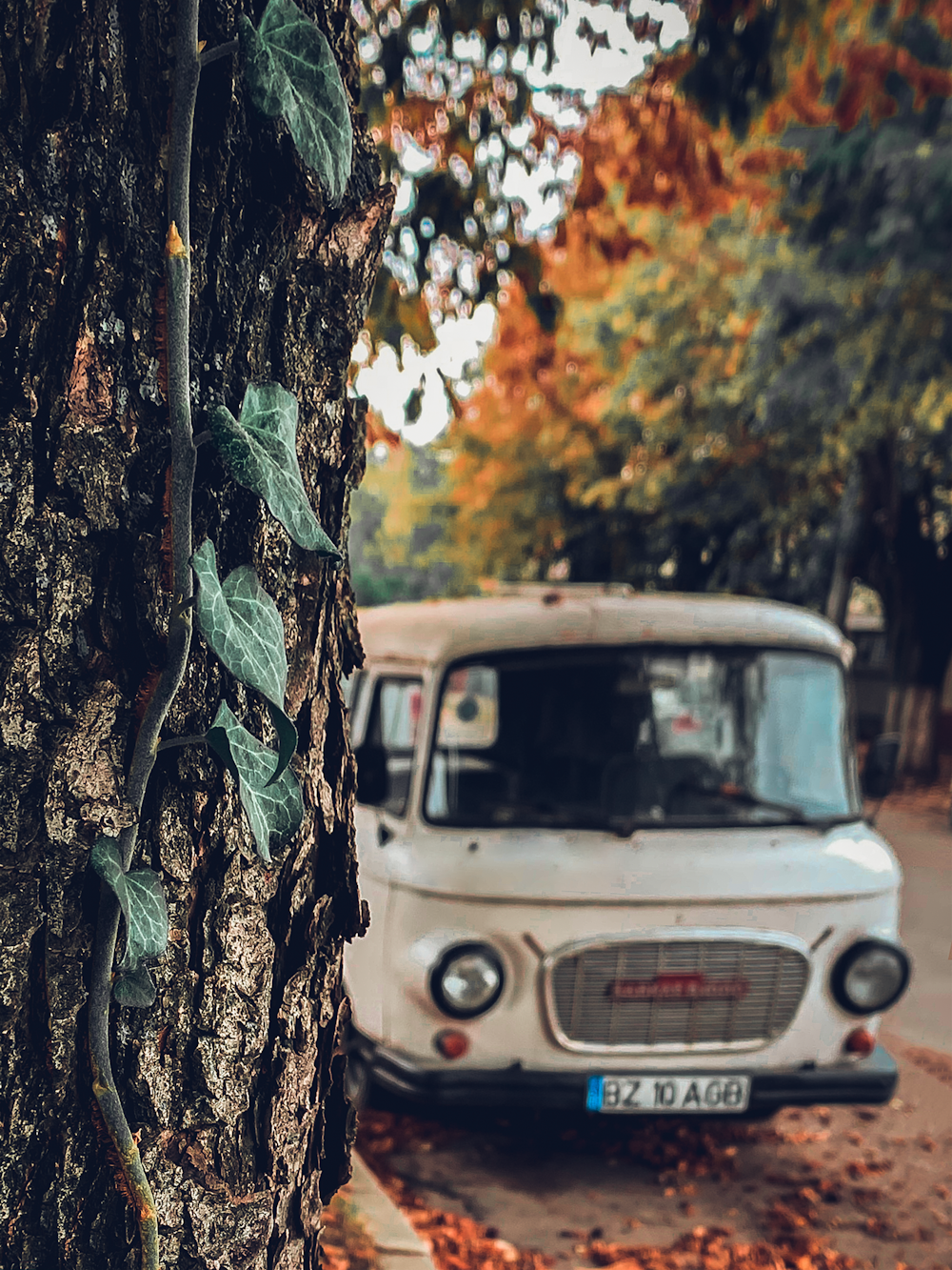 vintage white van park near tree