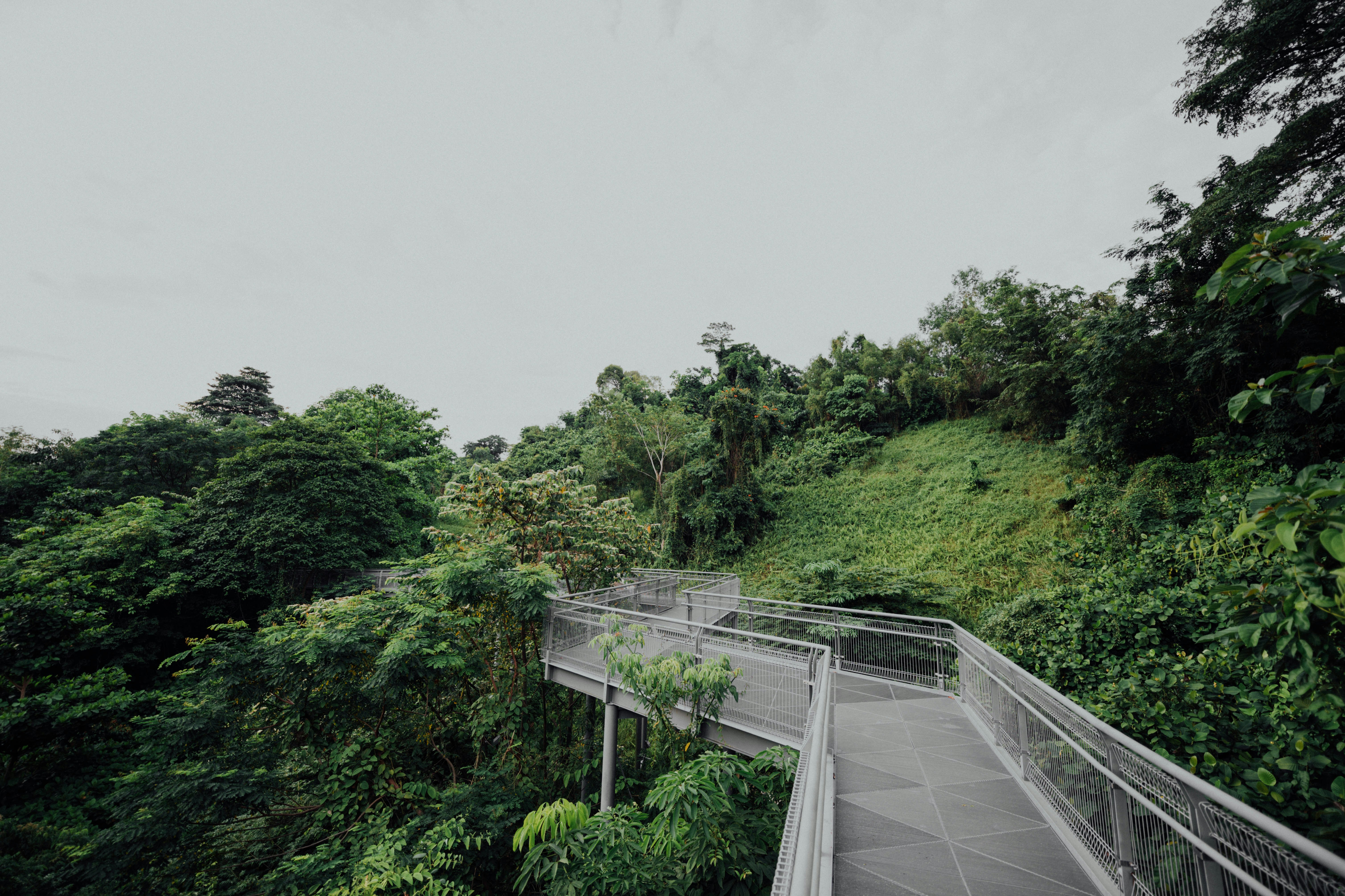 Photo by chuttersnap