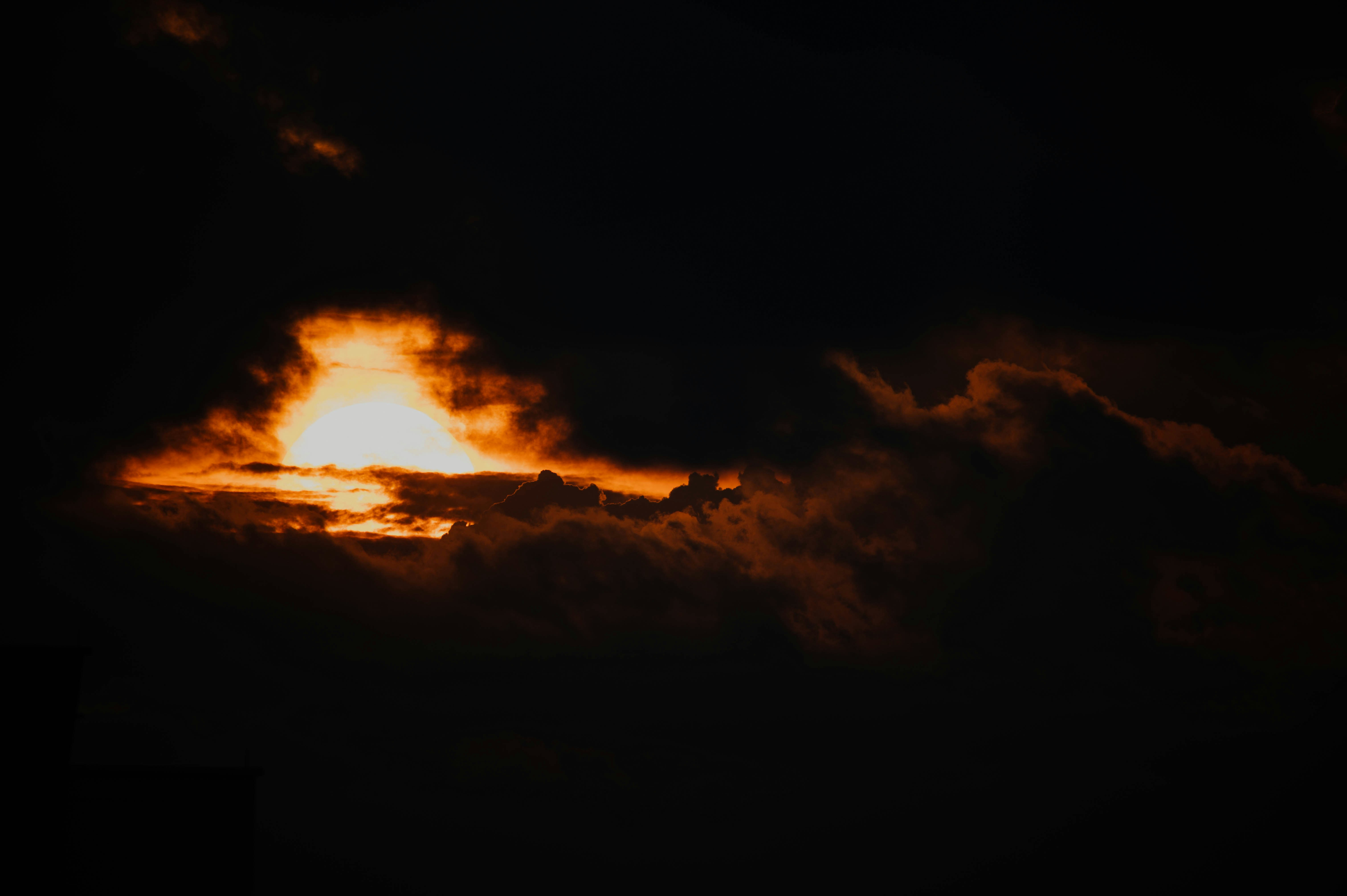 Photo by chuttersnap