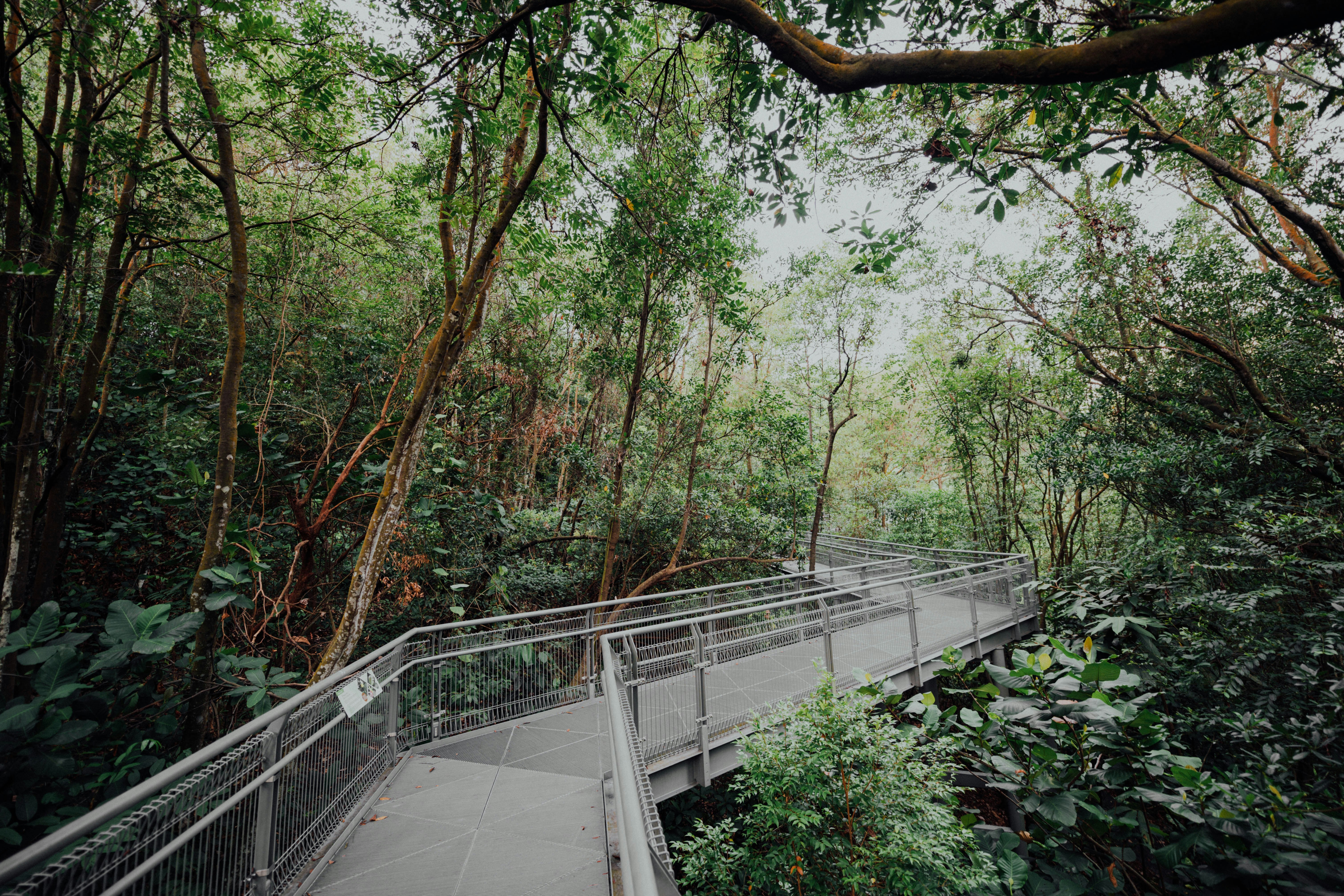 Photo by chuttersnap