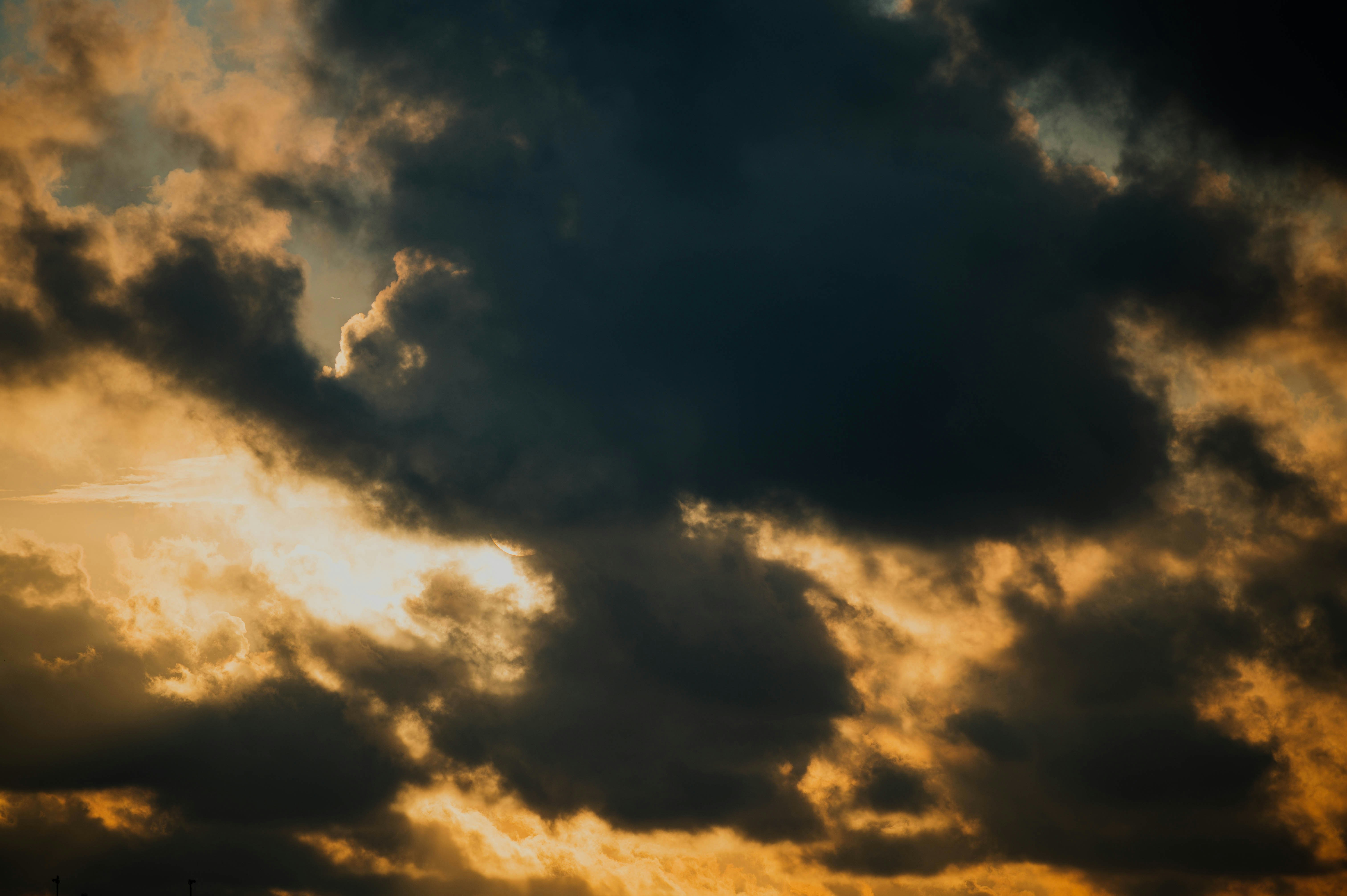 Photo by chuttersnap