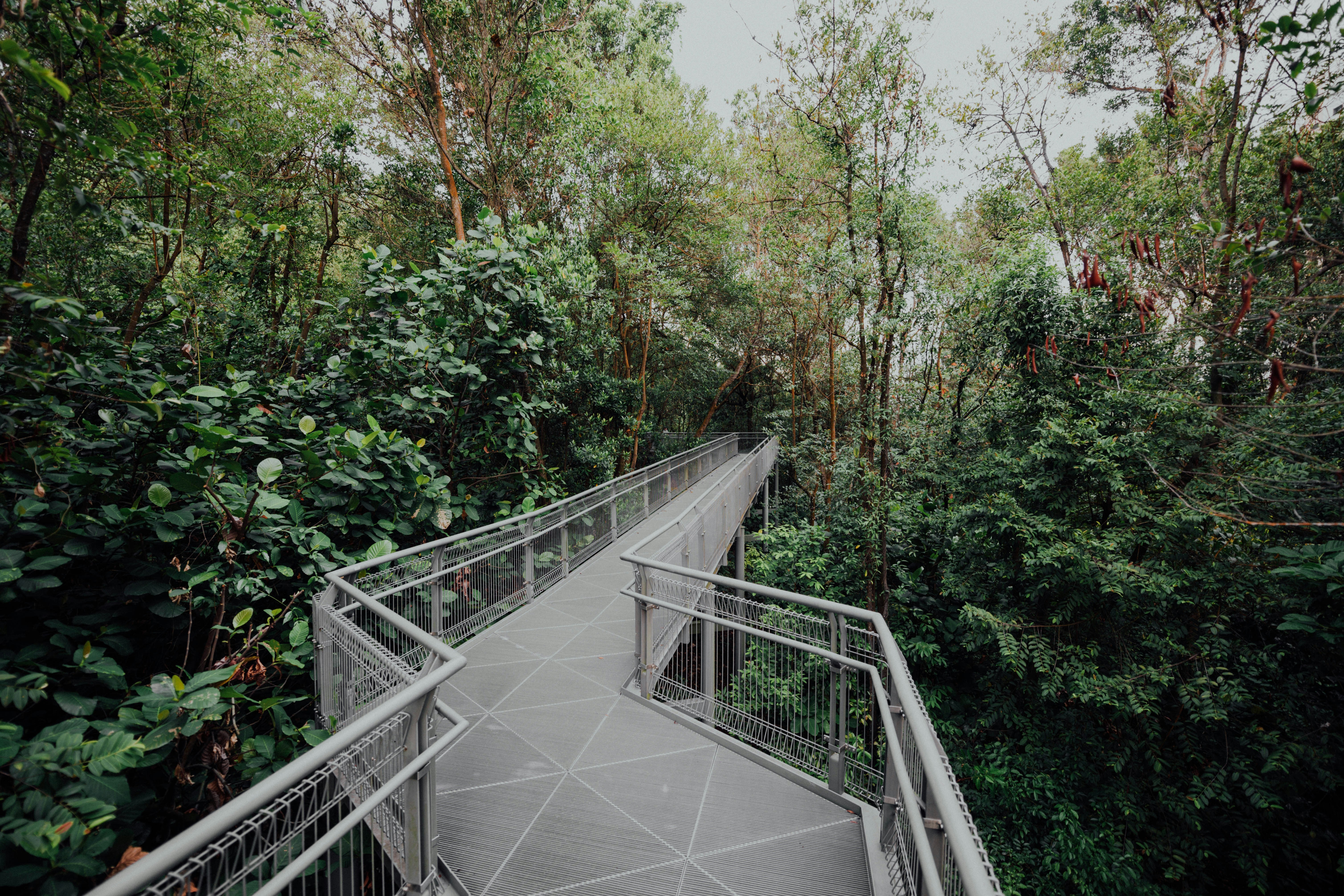 Photo by chuttersnap