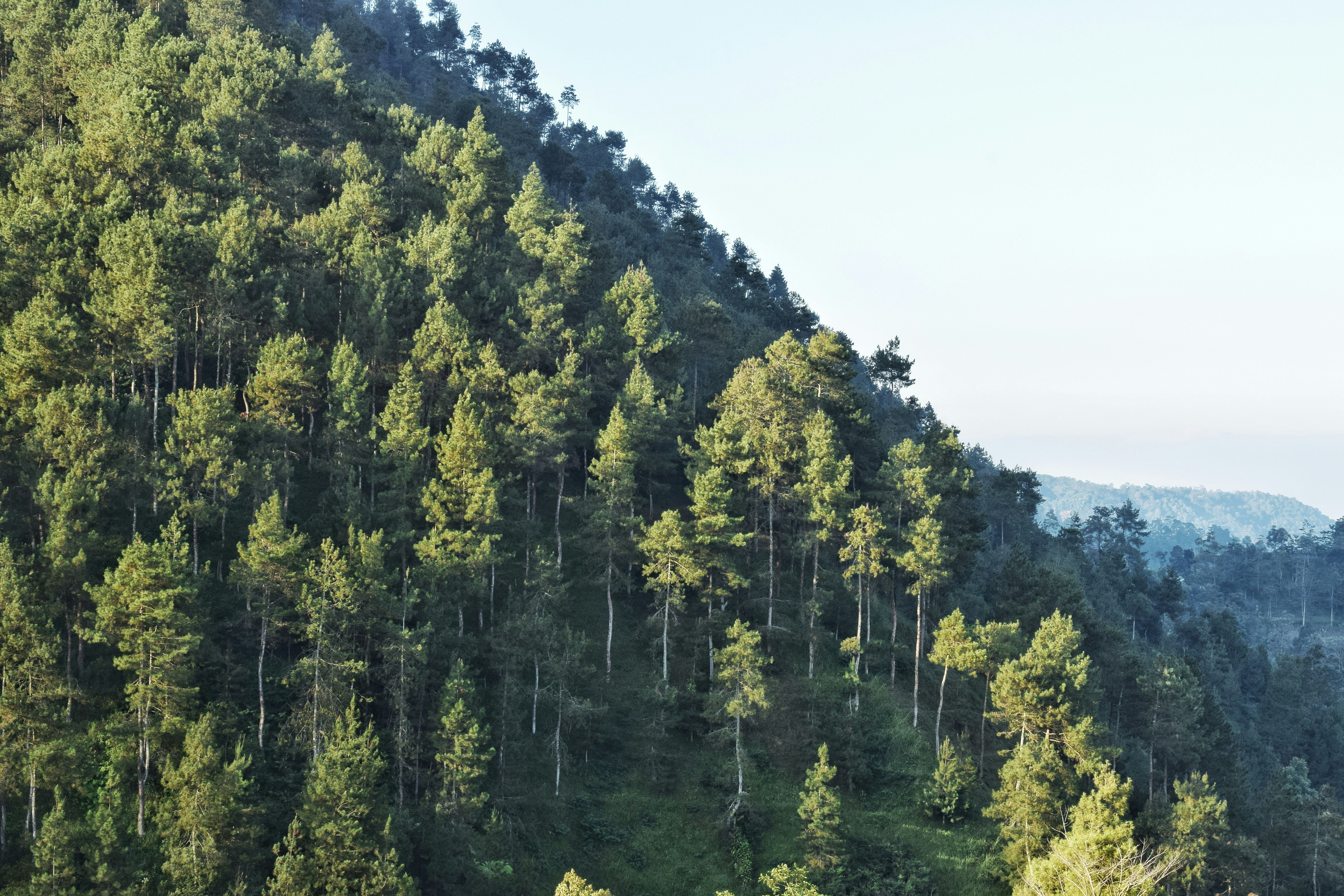 Photo by hydngallery