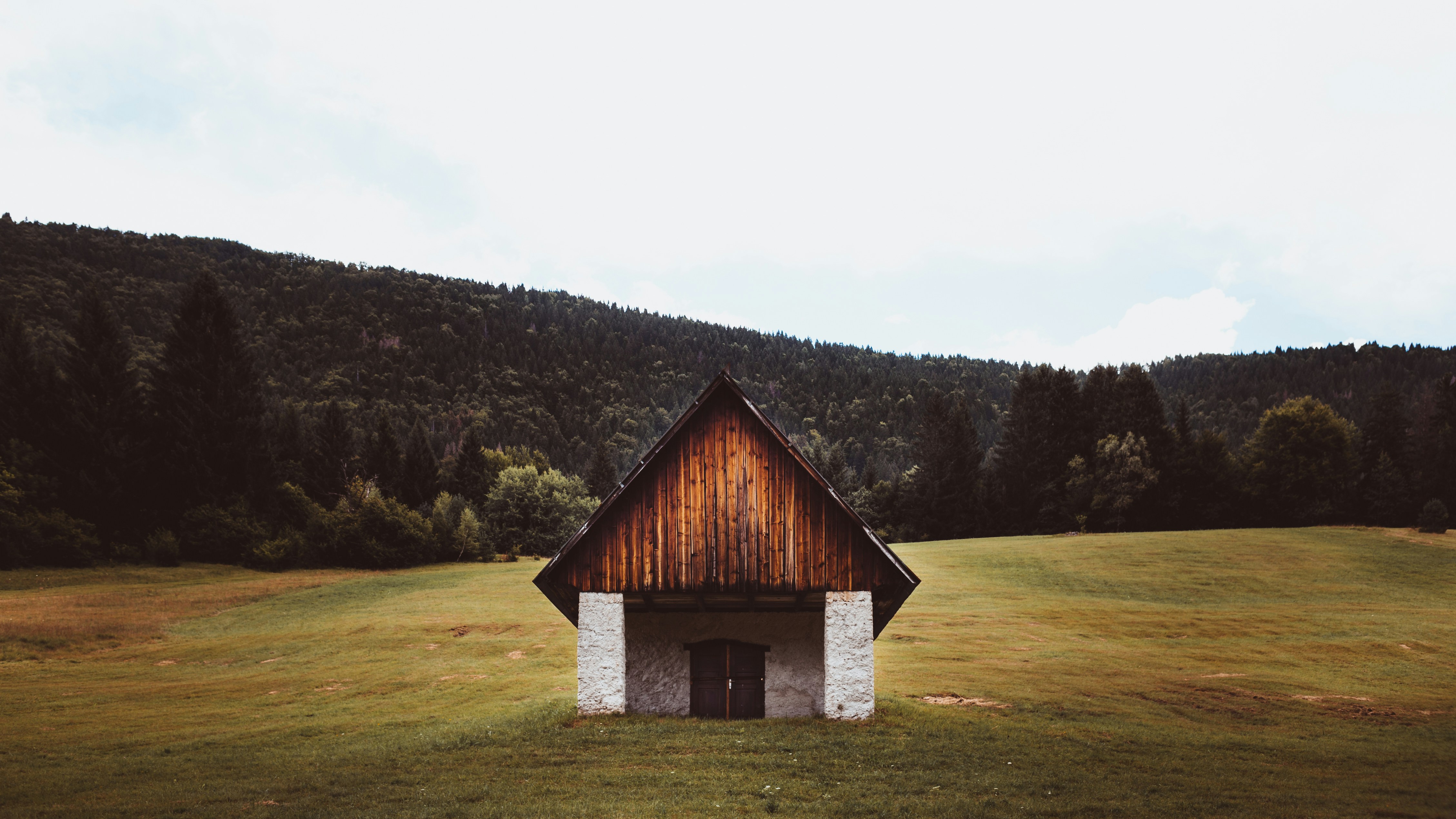 Photo by mozzillo_cristiano