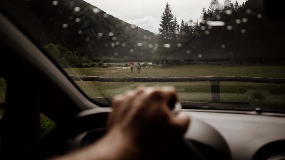 person holding steering wheel near field and fence during day