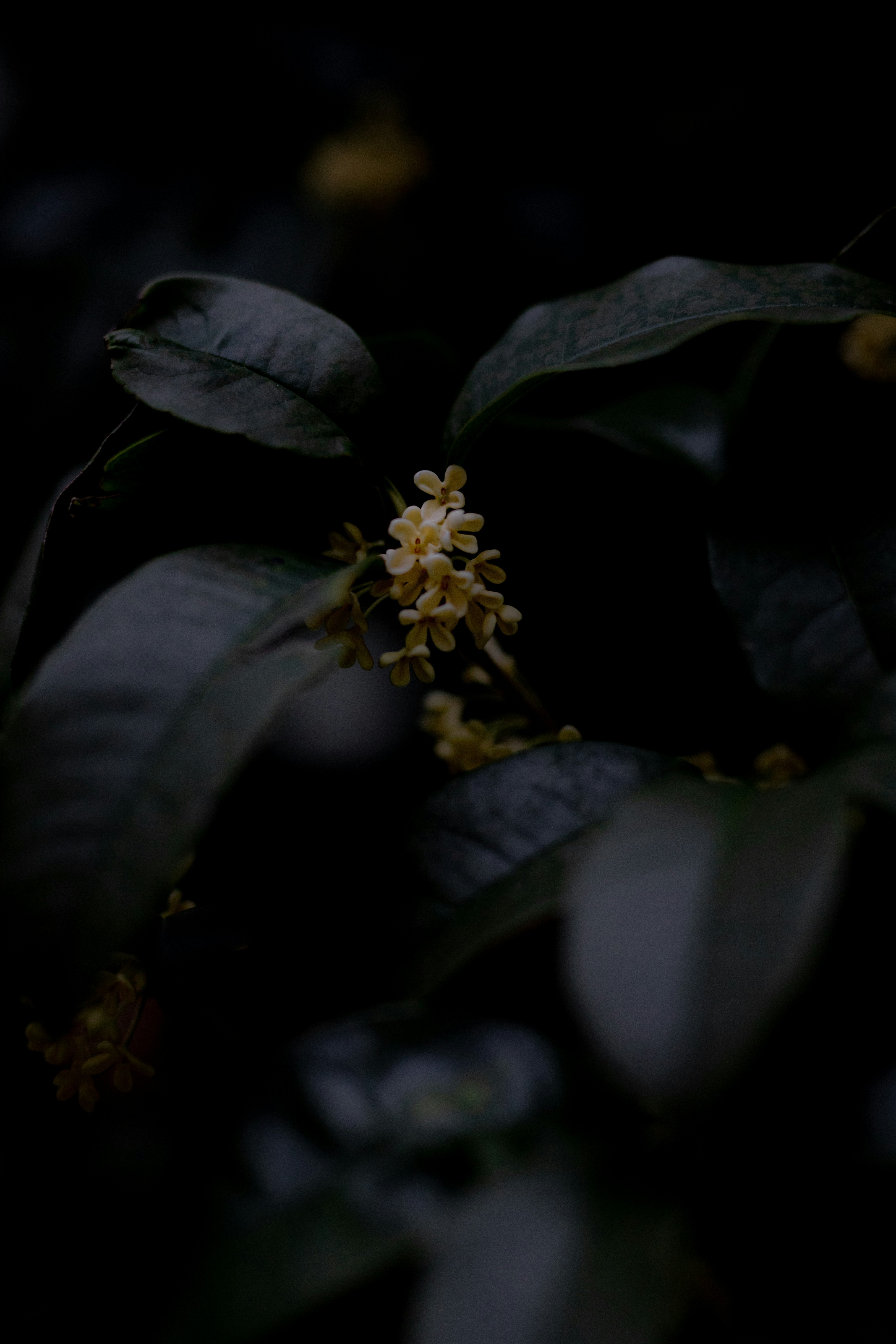 Photo by dongcheng