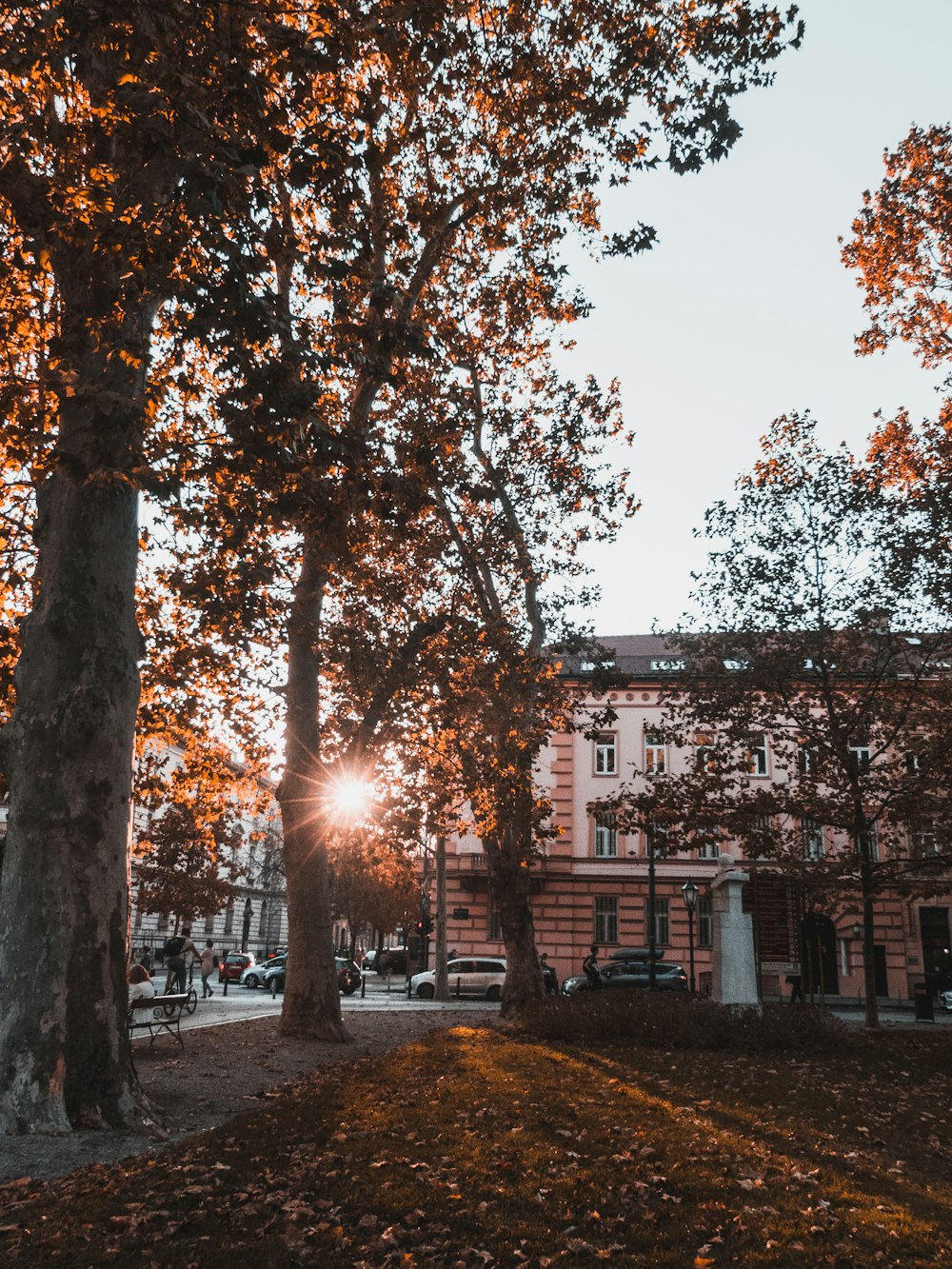 Die Sonne scheint durch die Bäume vor einem Gebäude