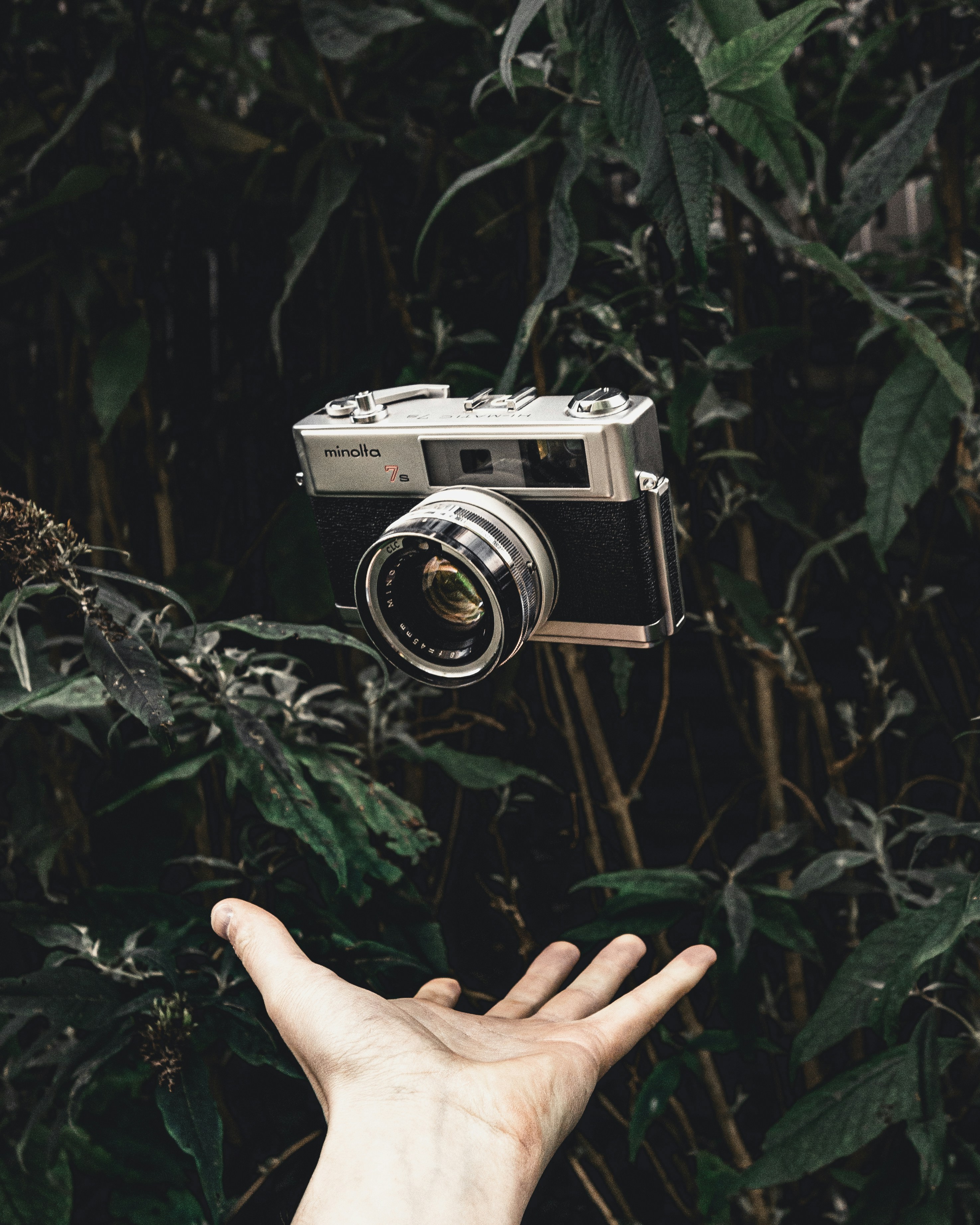 Photo by milandegraeve