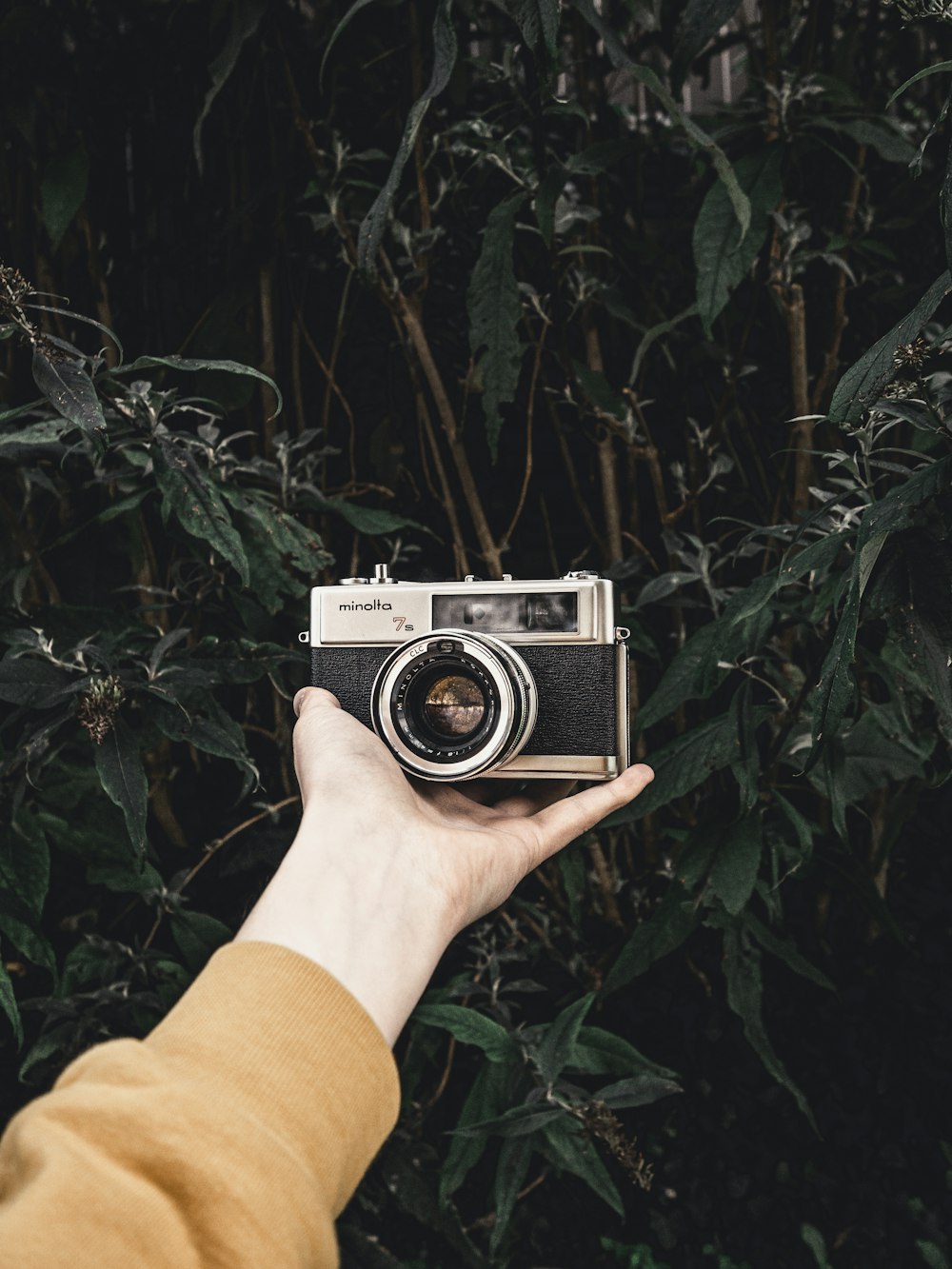 black and grey bridge camera