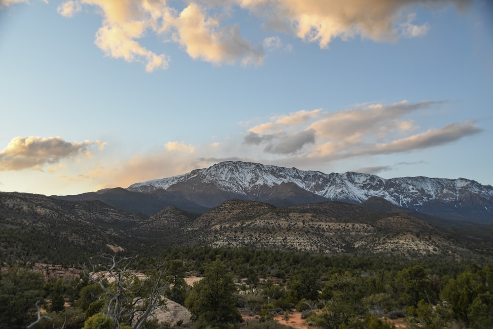 green mountain during daytime