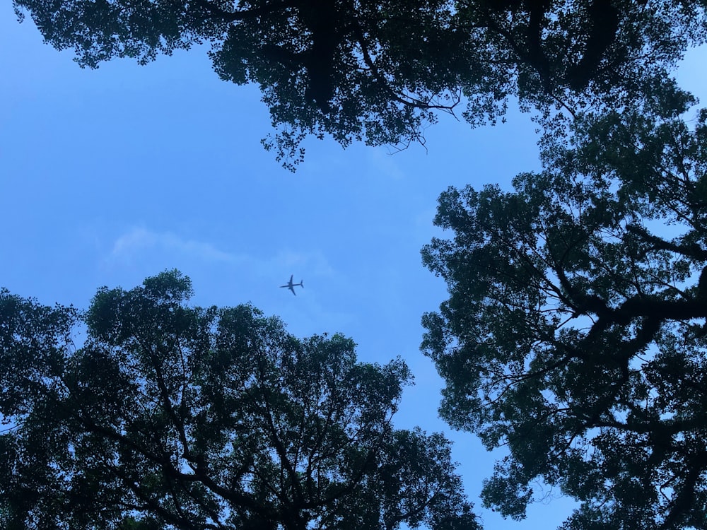 gray airplane flying during daytime