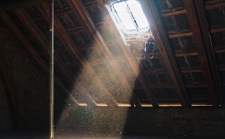 sun rays inside wooden house