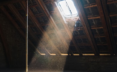 sun rays inside wooden house