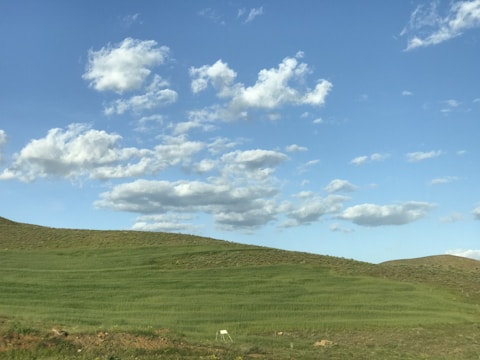 A vast green land plot with rolling hills and a bright sky.