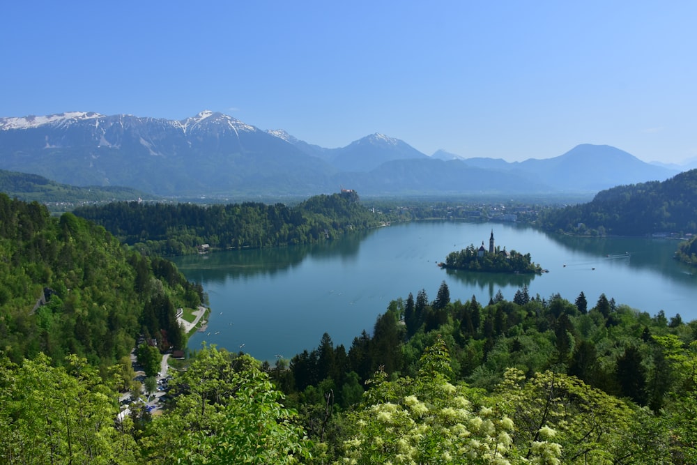 body of water surrounded with green trees