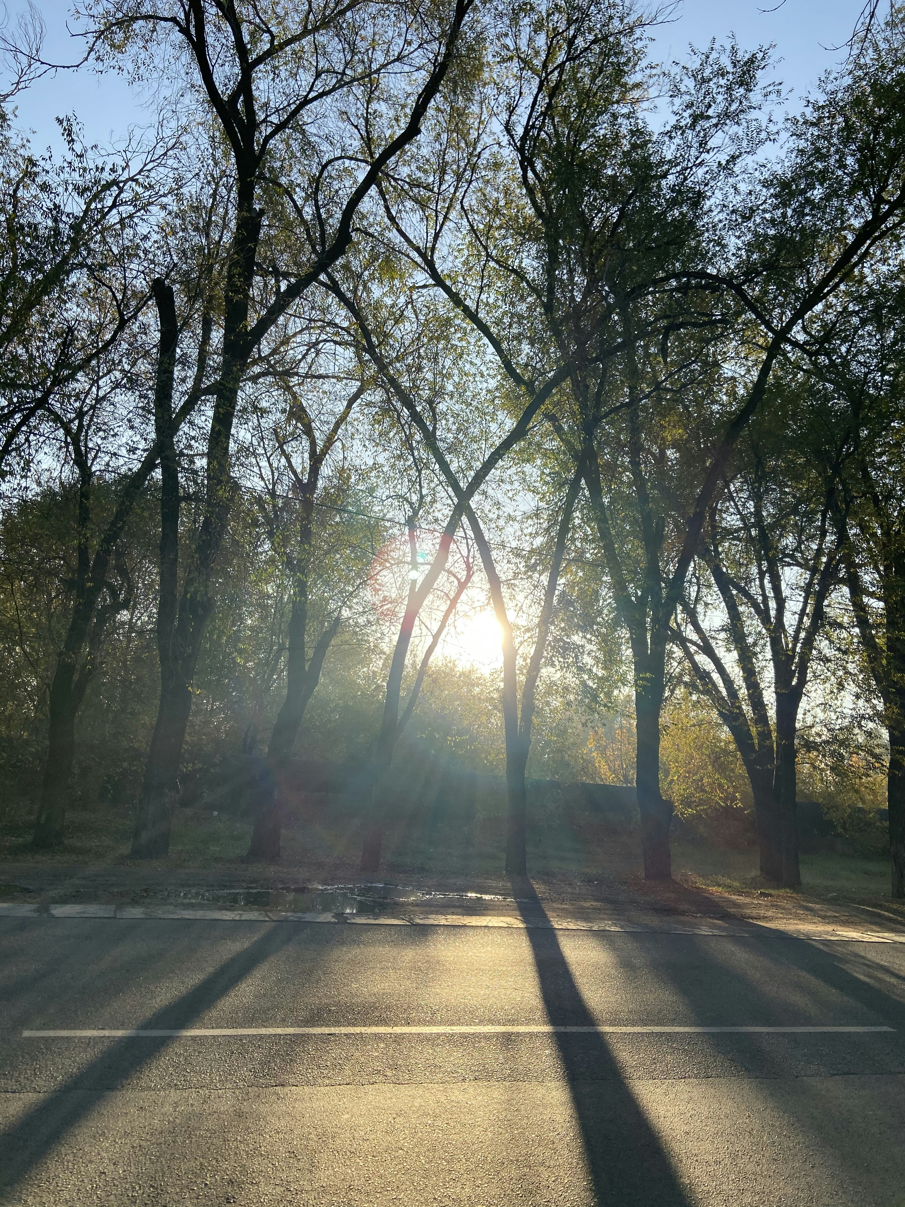 Photo by xsharapatx