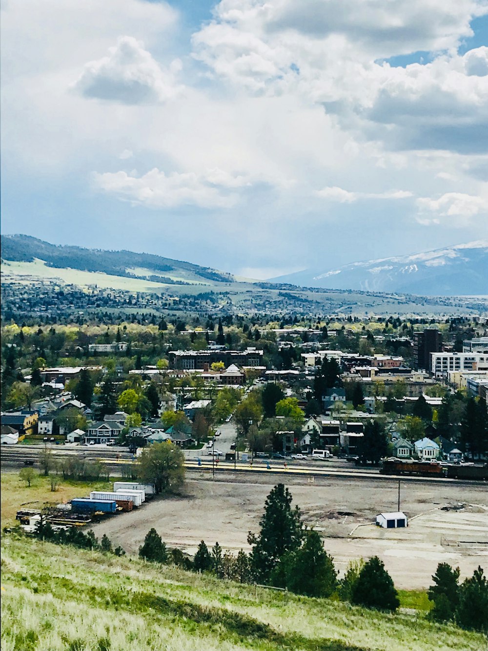 green leafed trees and concrete buildings under white clouds