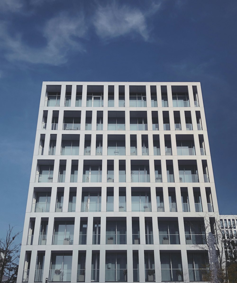 trees near building