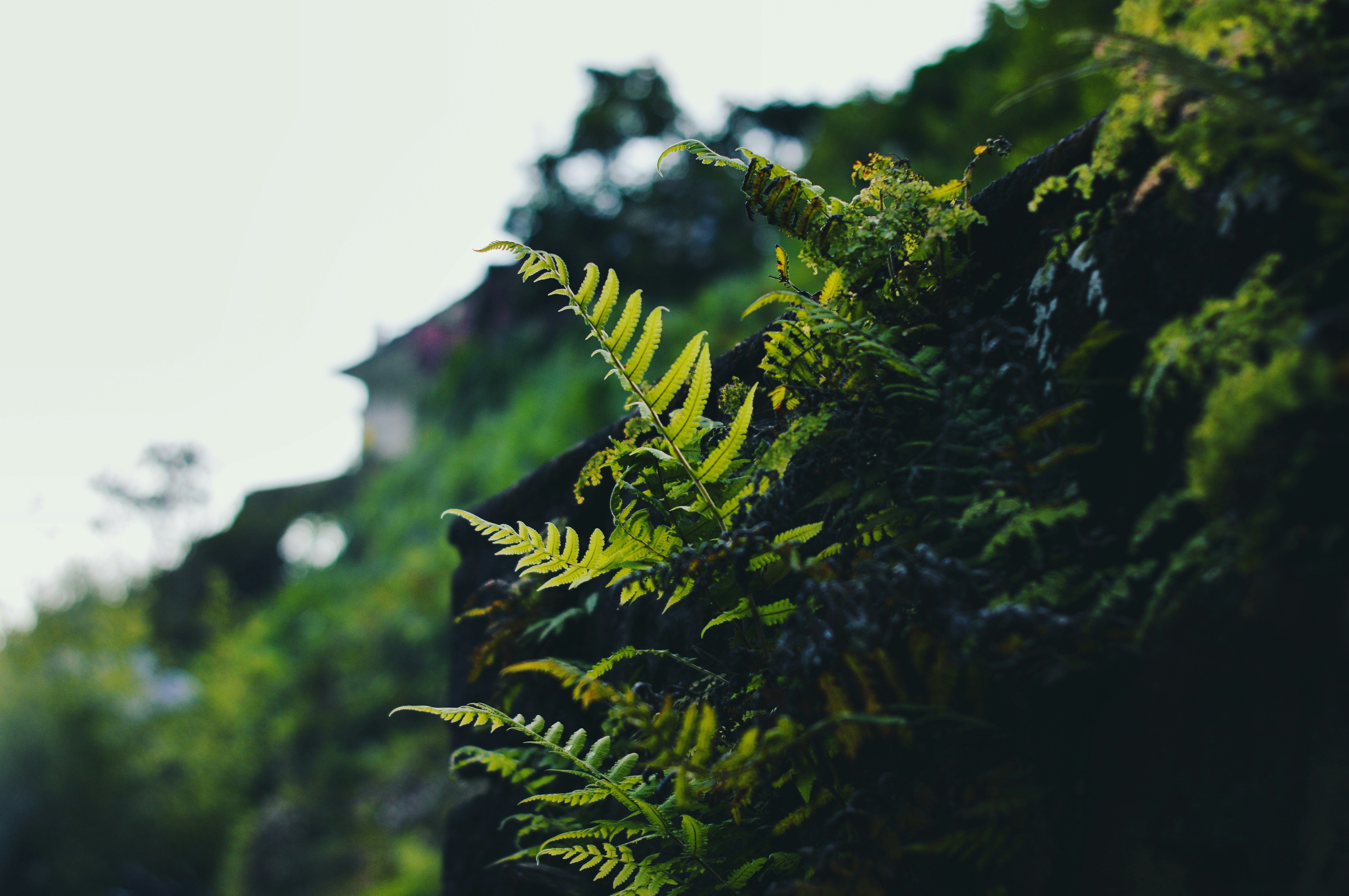 Photo by ruisilvestrecreative