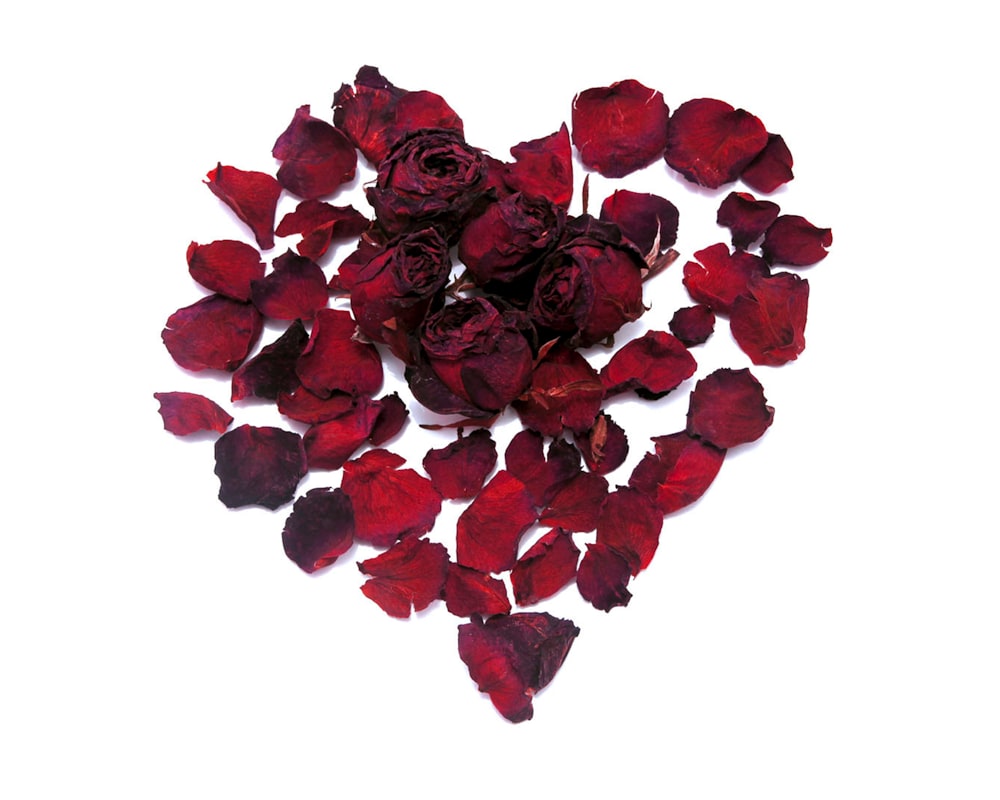 dried roses