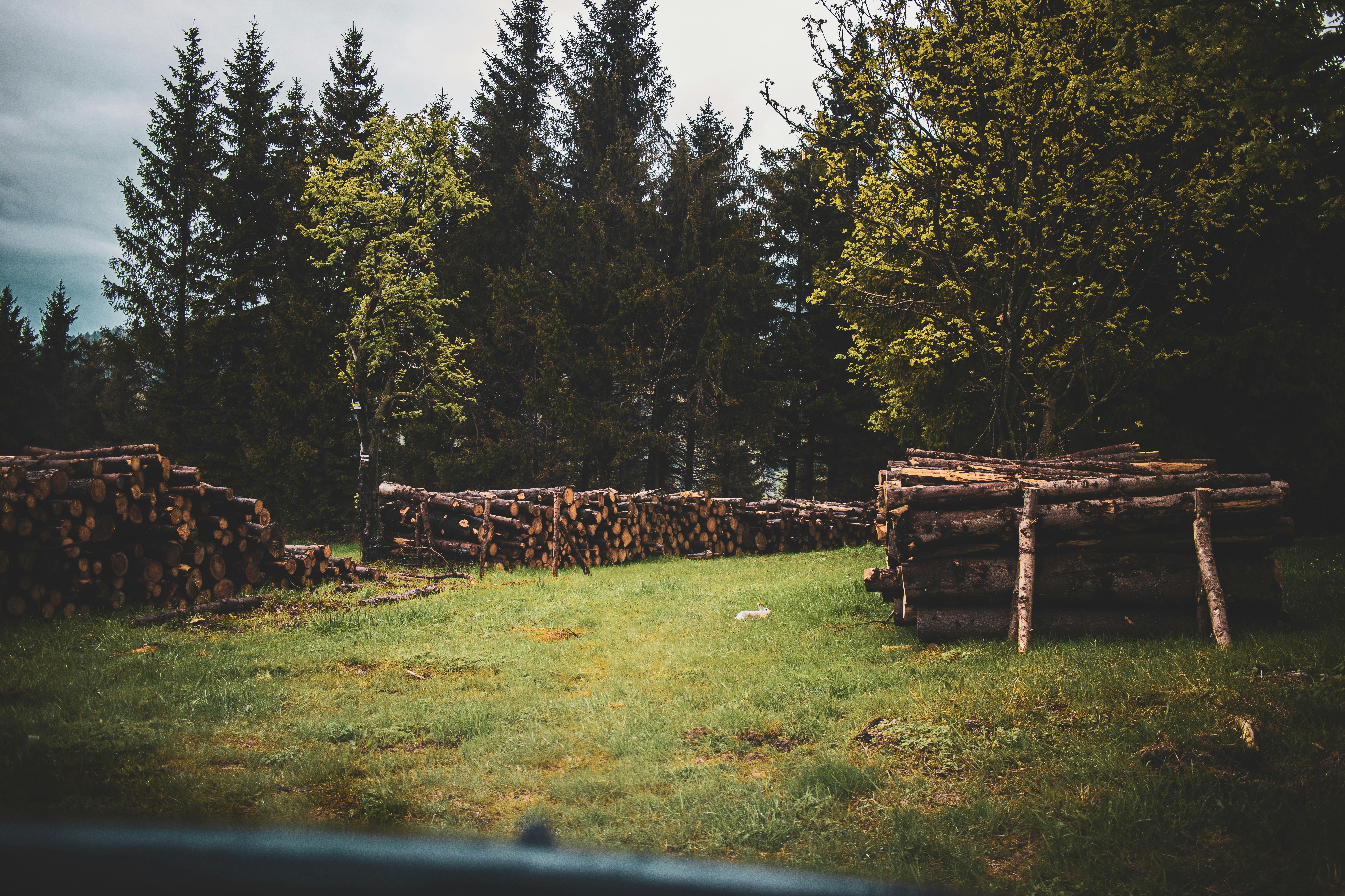 Photo by annahunko
