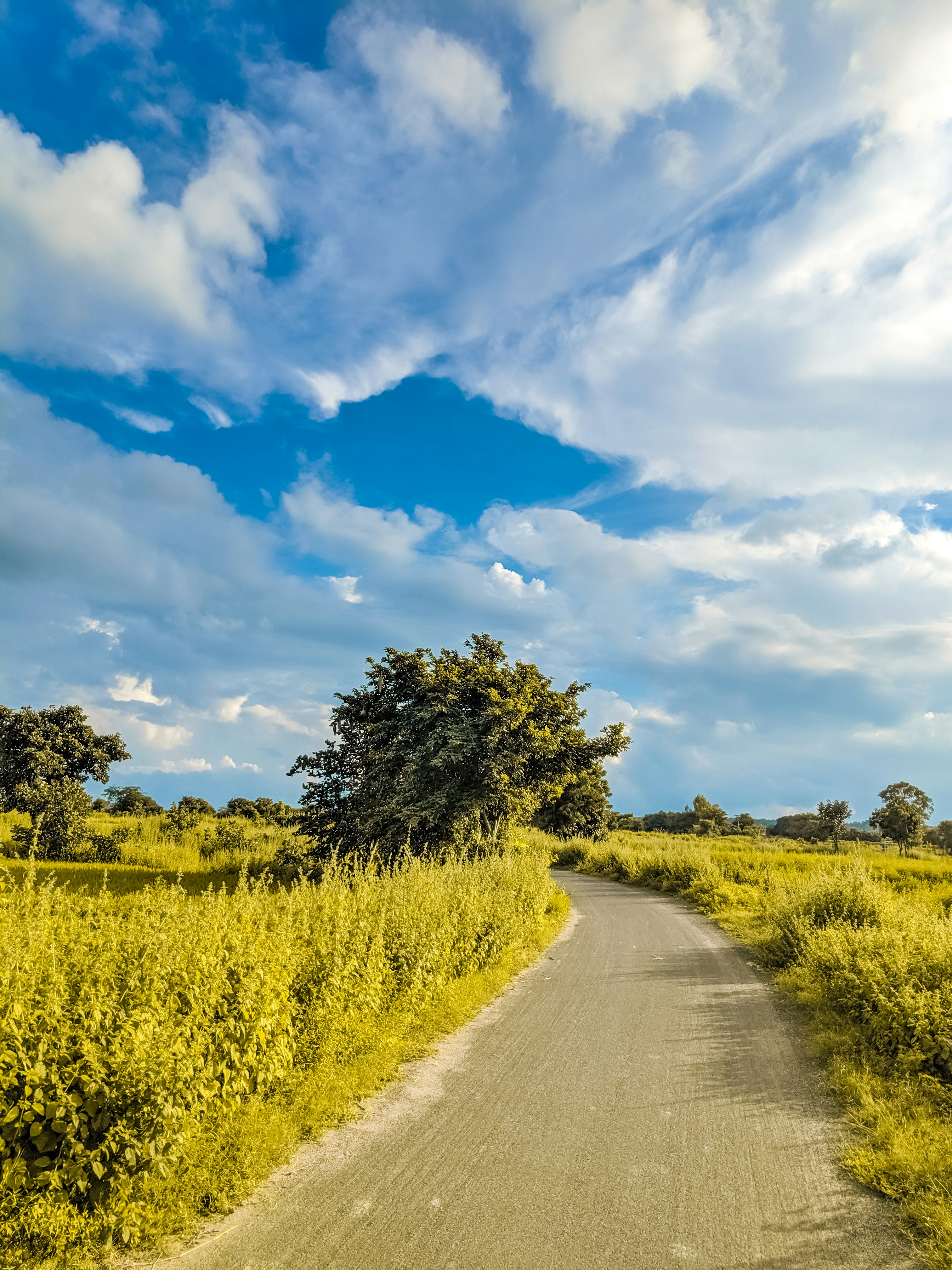 Photo by sainigham73