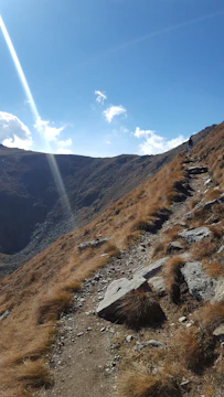 Golfrider climbing a steep incline on a golf course path.