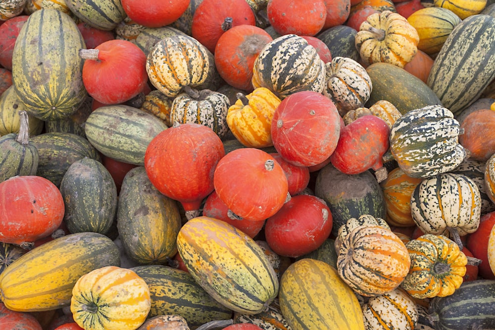 variety of vegetables